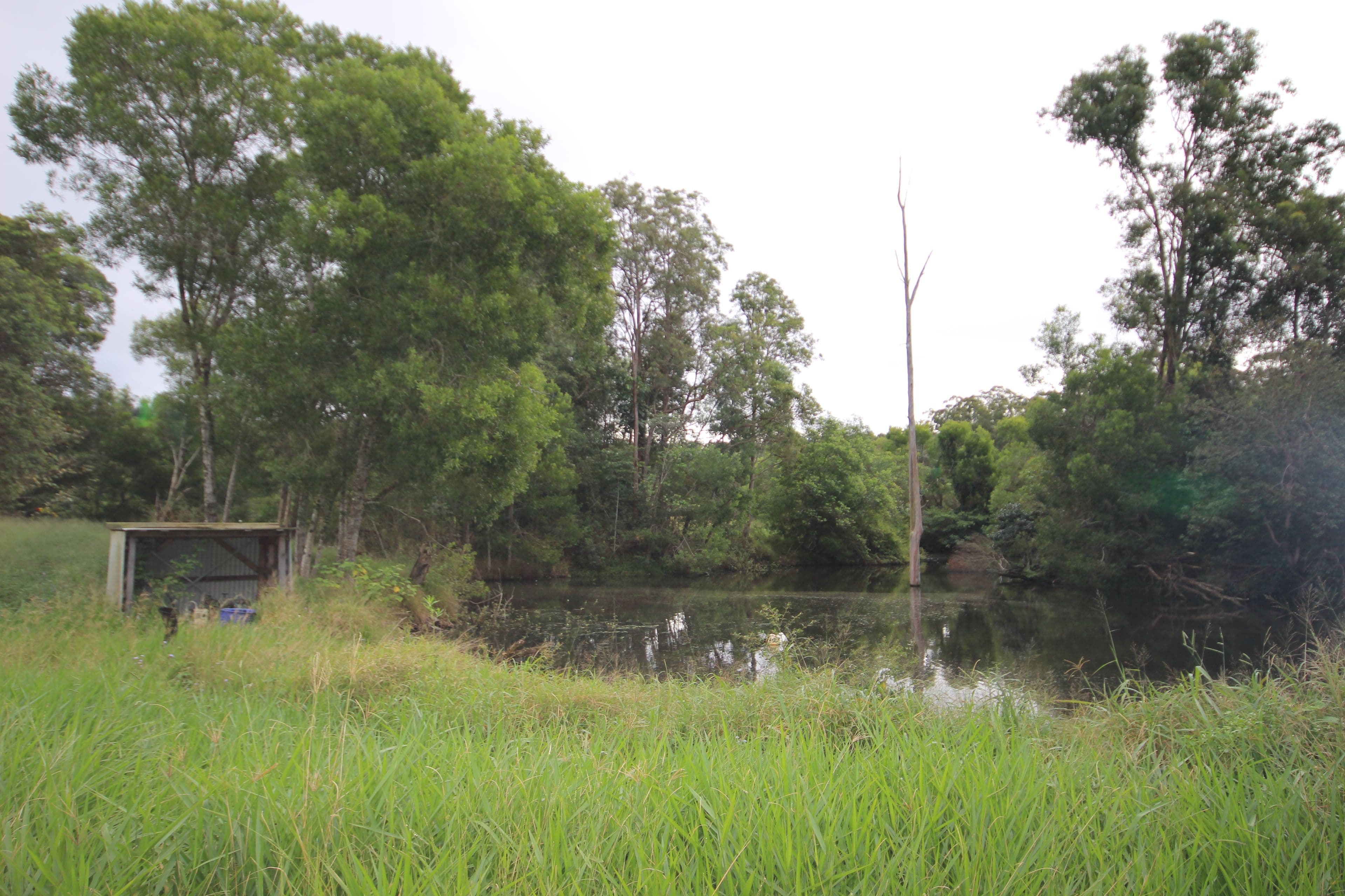 191 Old Peachester Road, Beerwah QLD 4519, Beerwah - Thumbnail 8