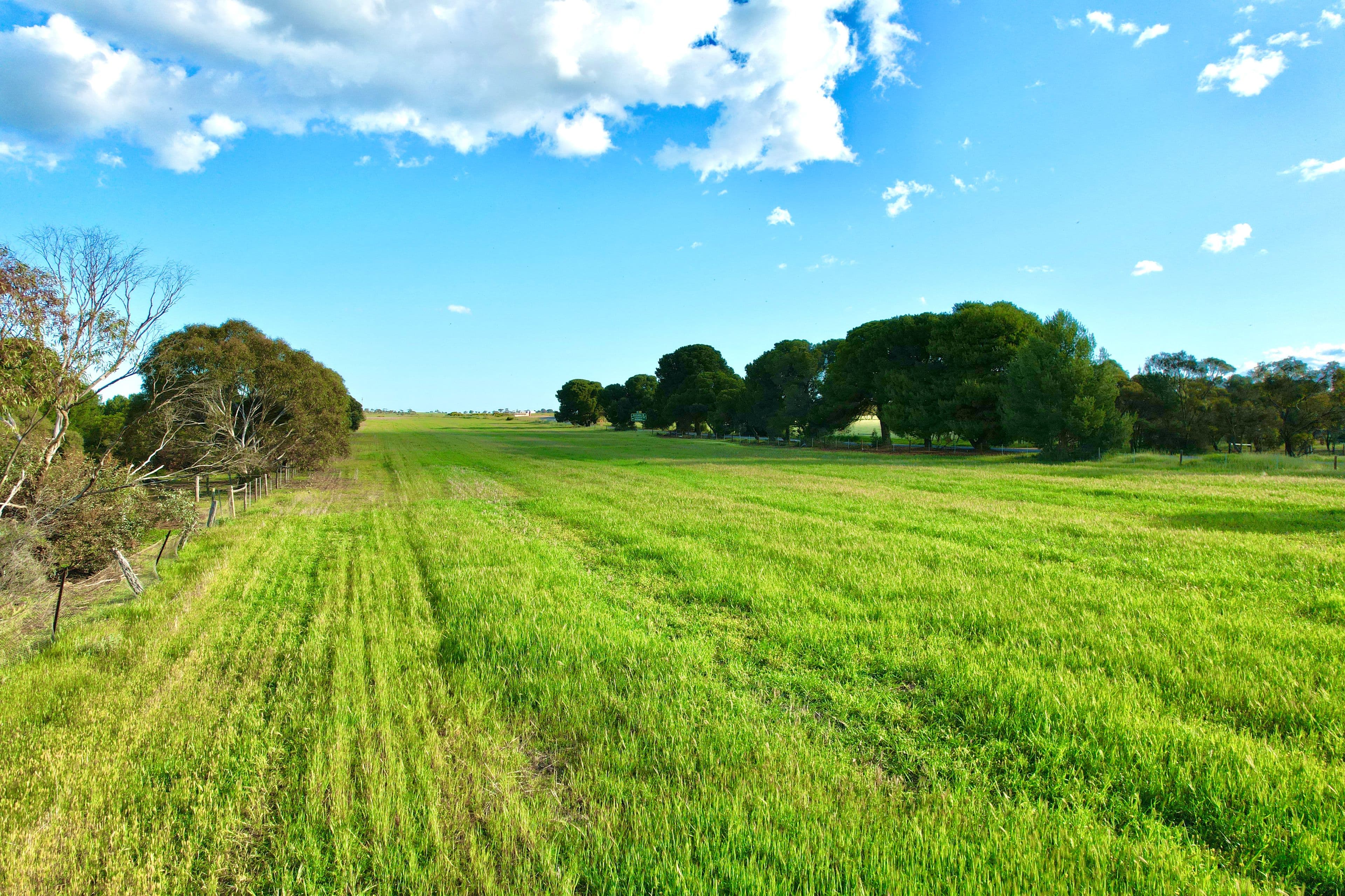 1395 Callington Road, Woodchester SA 5255, Woodchester - Thumbnail 5