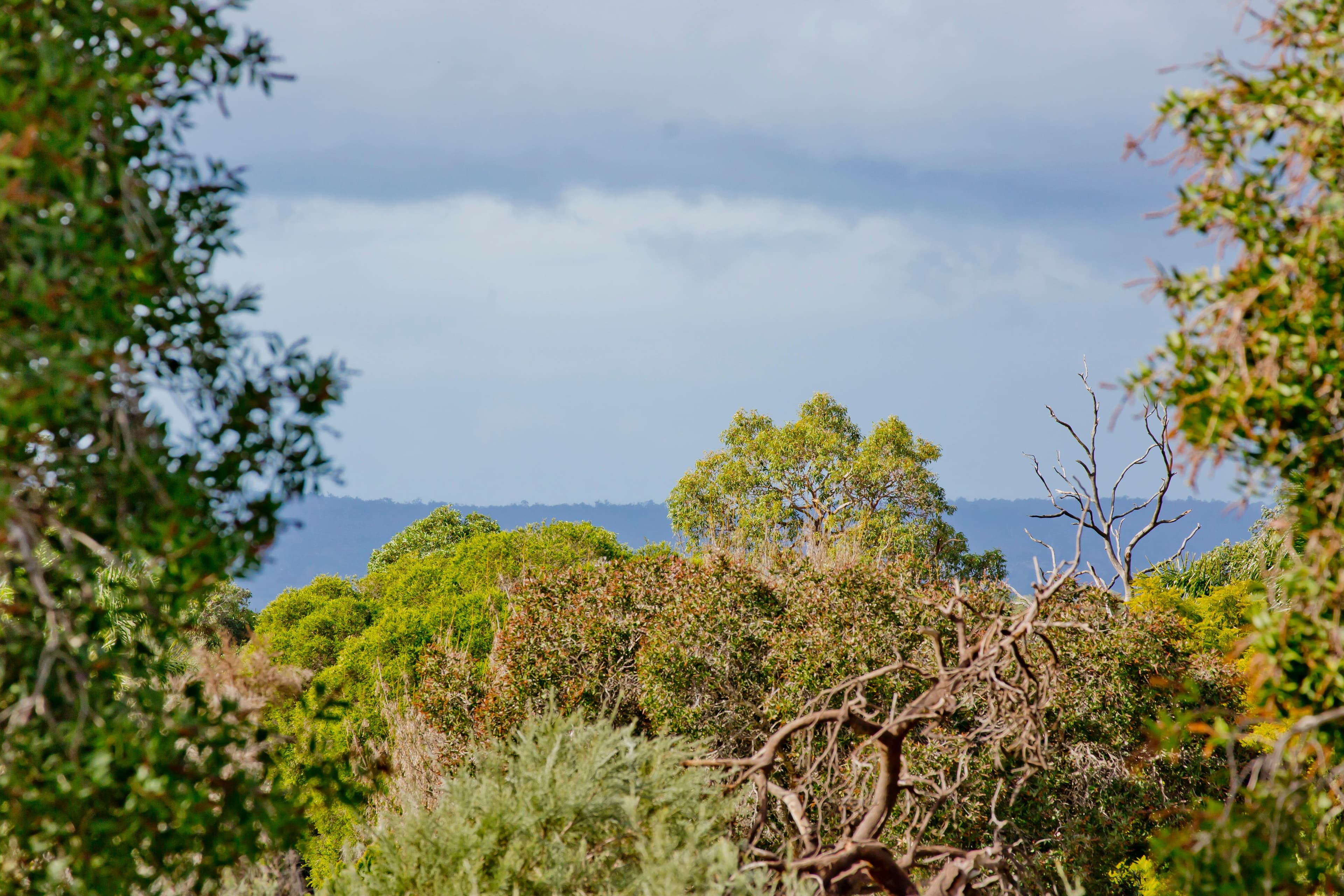 351 Lord Street, Beechboro WA 6063, Beechboro - Thumbnail 5