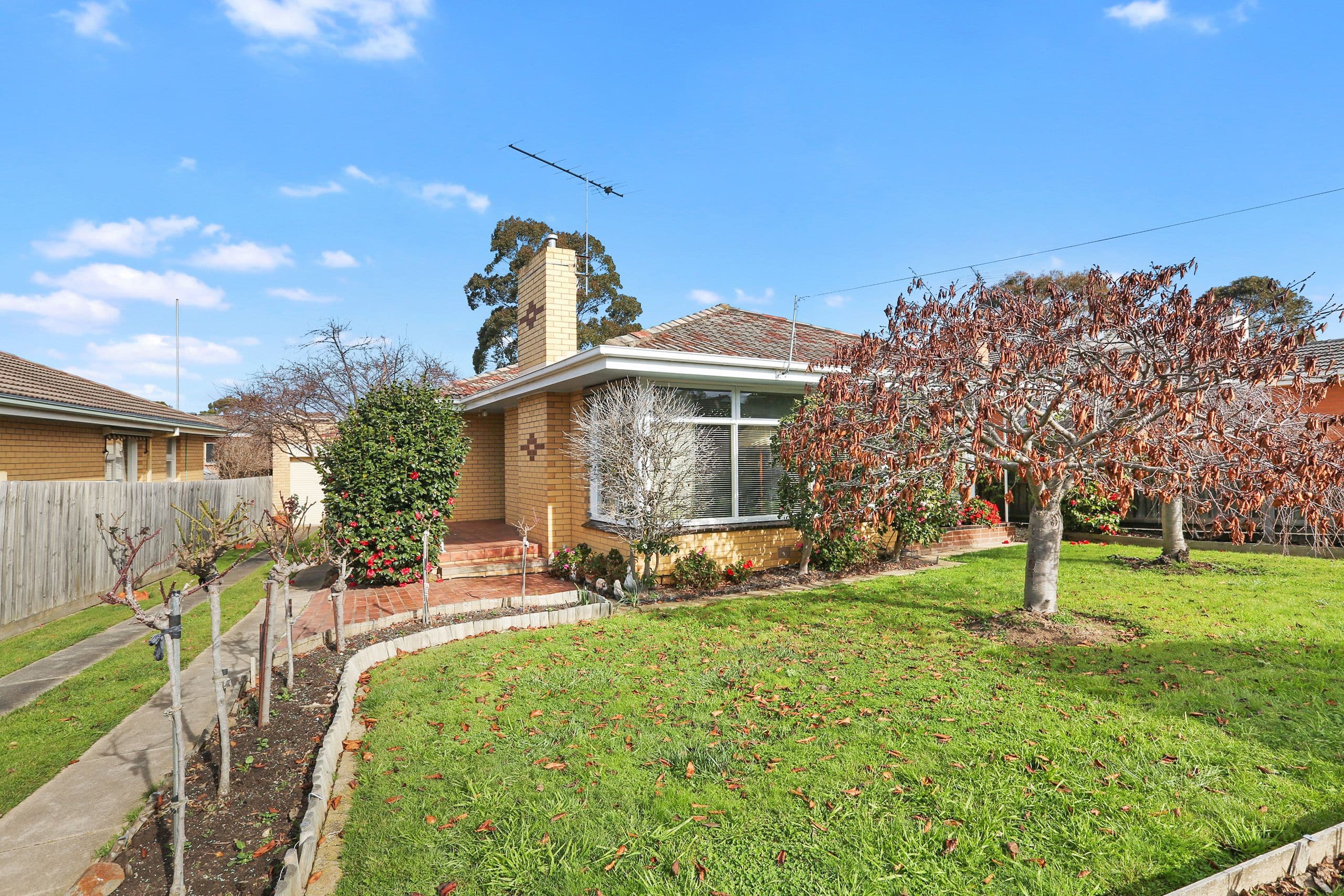 17 Kidman Avenue, Belmont VIC 3216, Belmont - Image 1