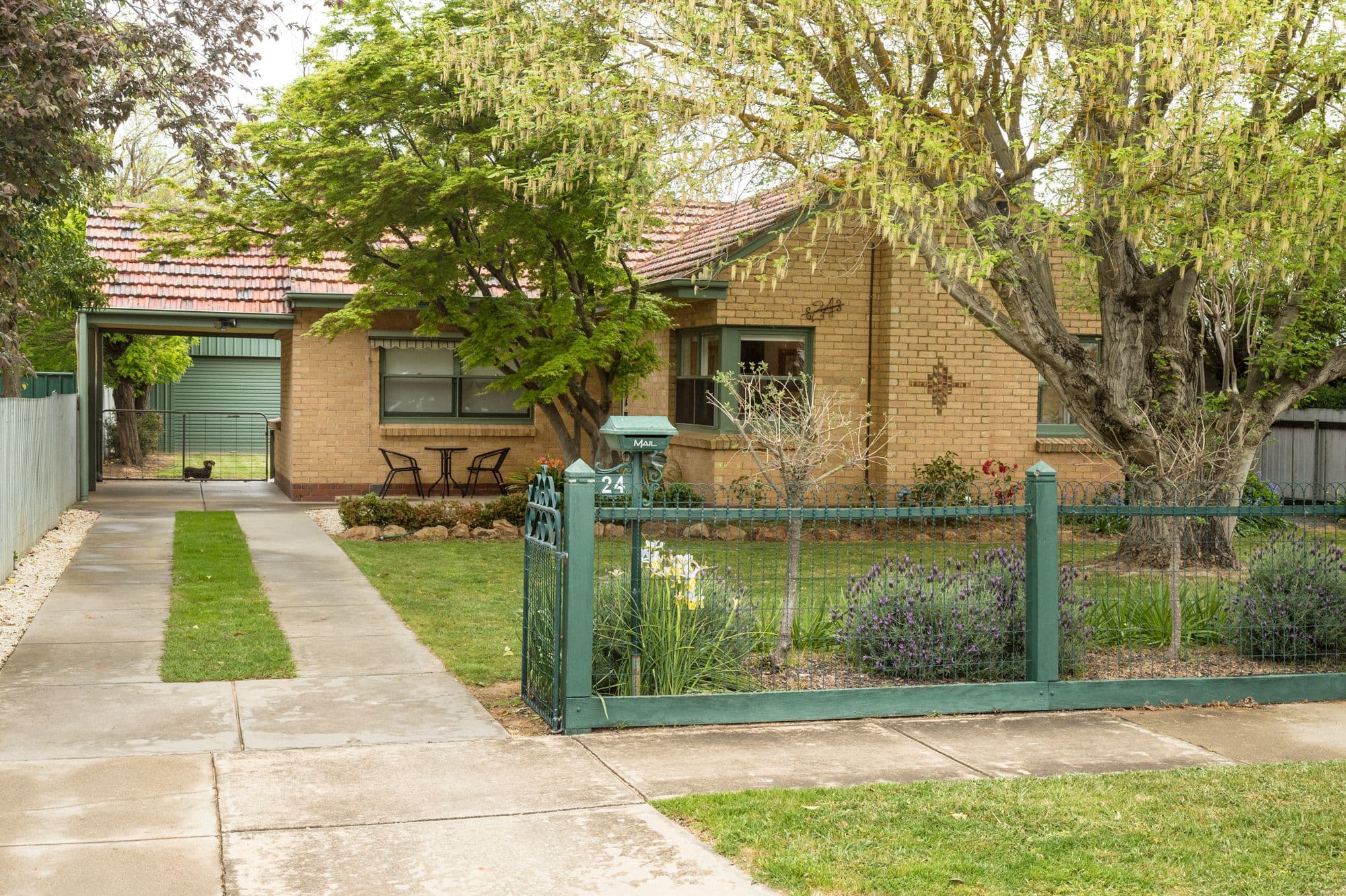 24 Alexander Avenue, Tatura VIC 3616, Tatura - Thumbnail 3