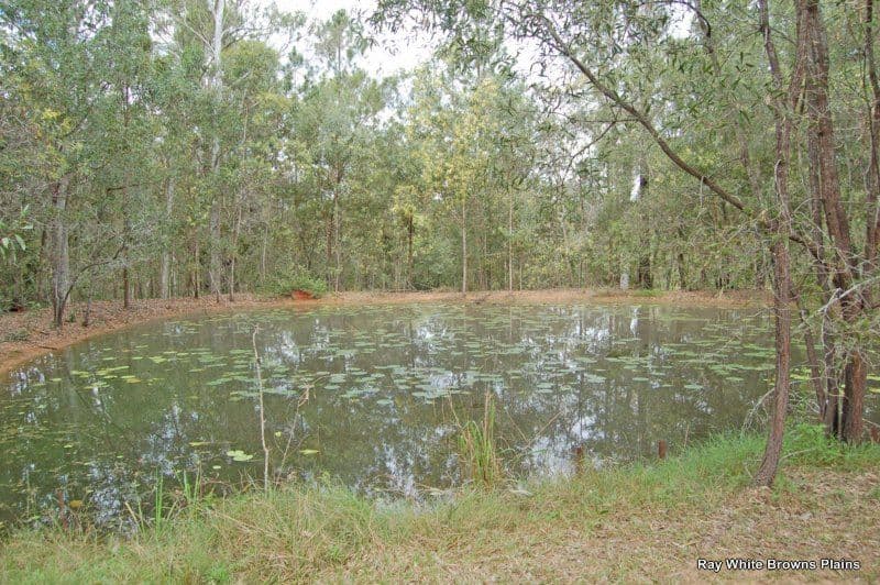 351-353 Clifton Drive, NORTH MACLEAN QLD 4280, North Maclean - Thumbnail 3