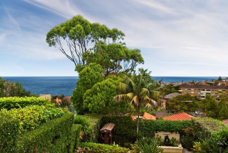 13 Evelyn Street, SOUTH COOGEE NSW 2034, South Coogee - Thumbnail 5