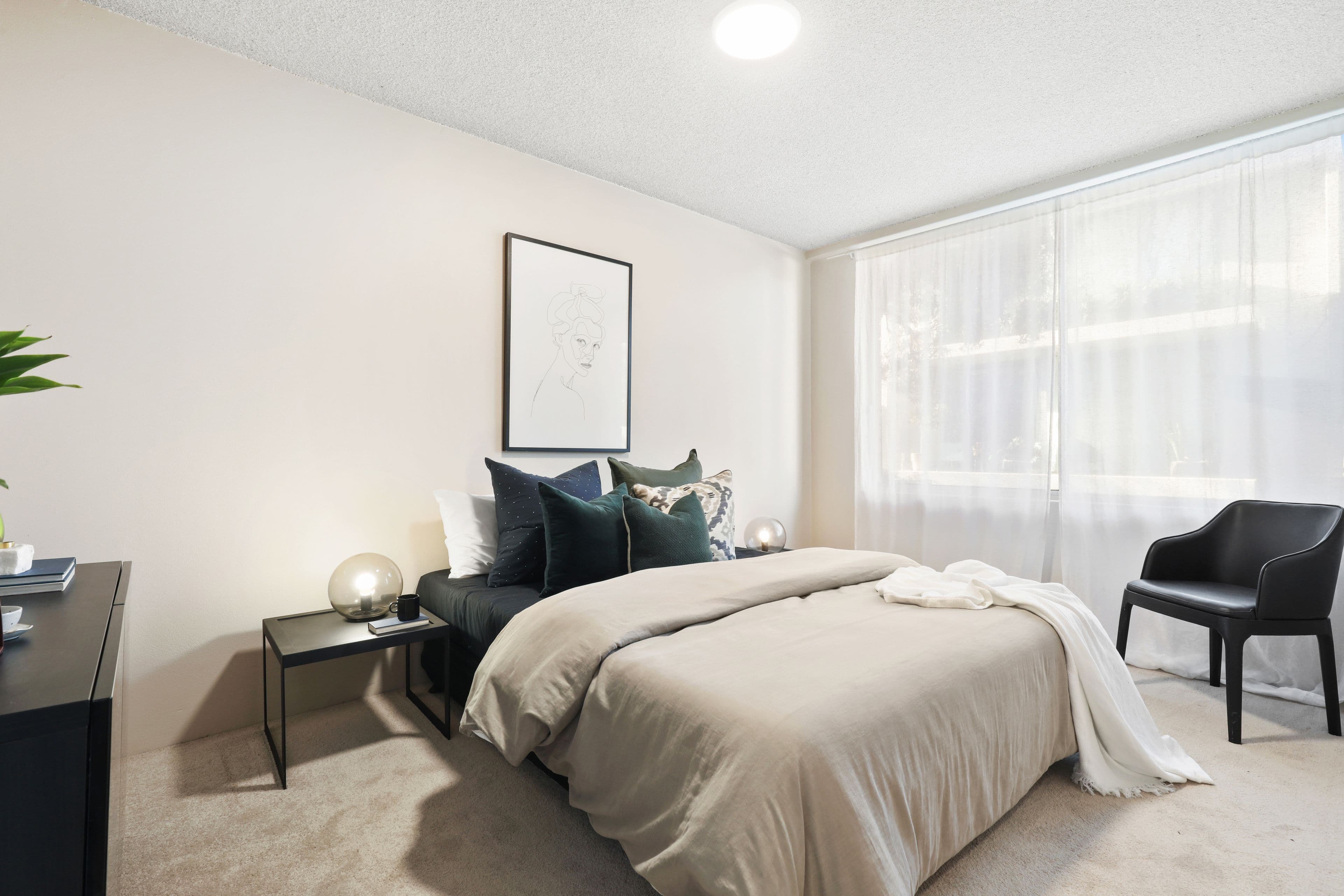 2-6 Sheehy Street, Glebe NSW 2037, Glebe - Thumbnail 4