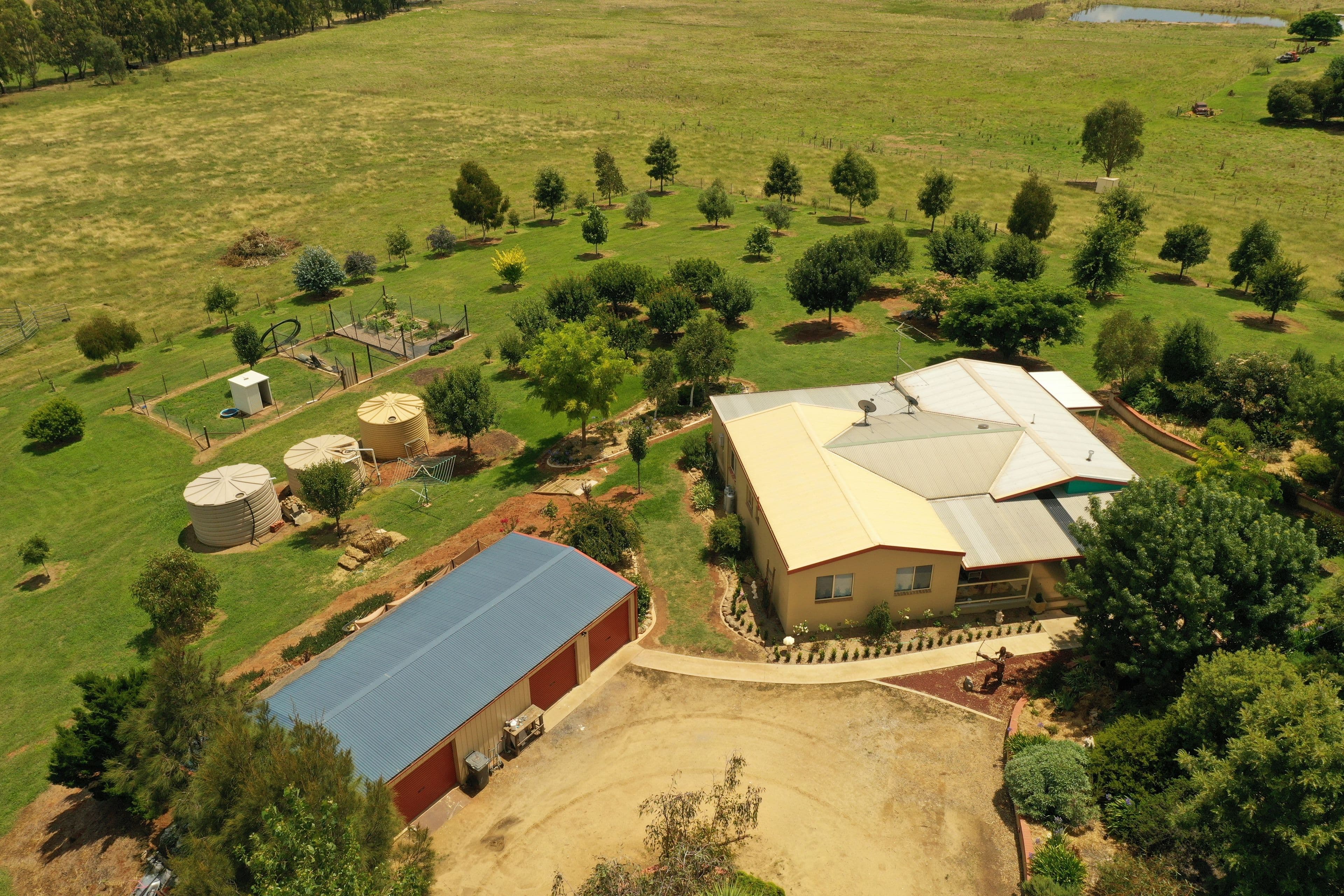39 Saines Estate Road, Young NSW 2594, Young - Thumbnail 2