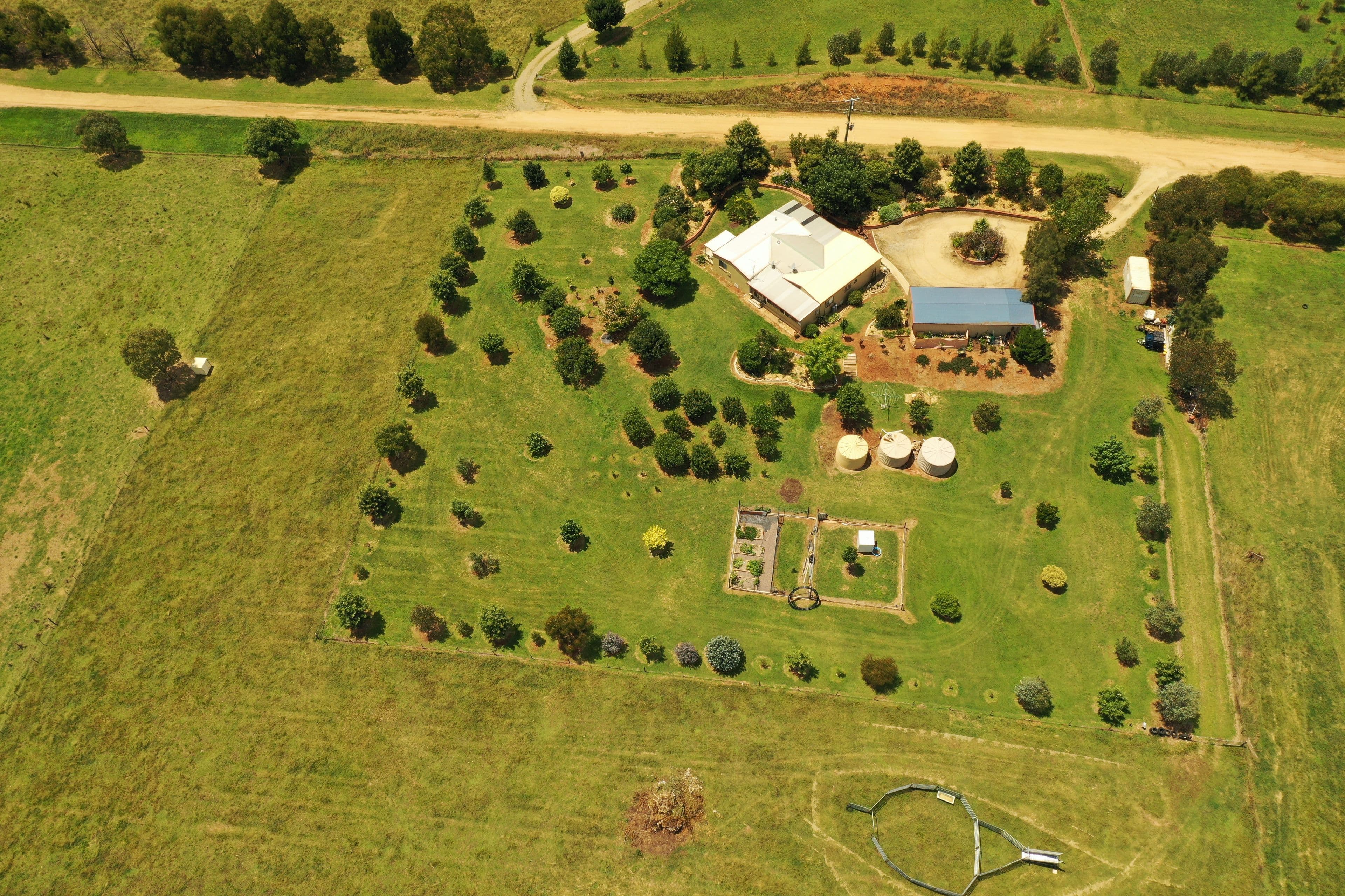 39 Saines Estate Road, Young NSW 2594, Young - Thumbnail 3
