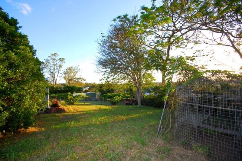 69 Buena Vista Avenue, COORPAROO QLD 4151, Coorparoo - Thumbnail 4