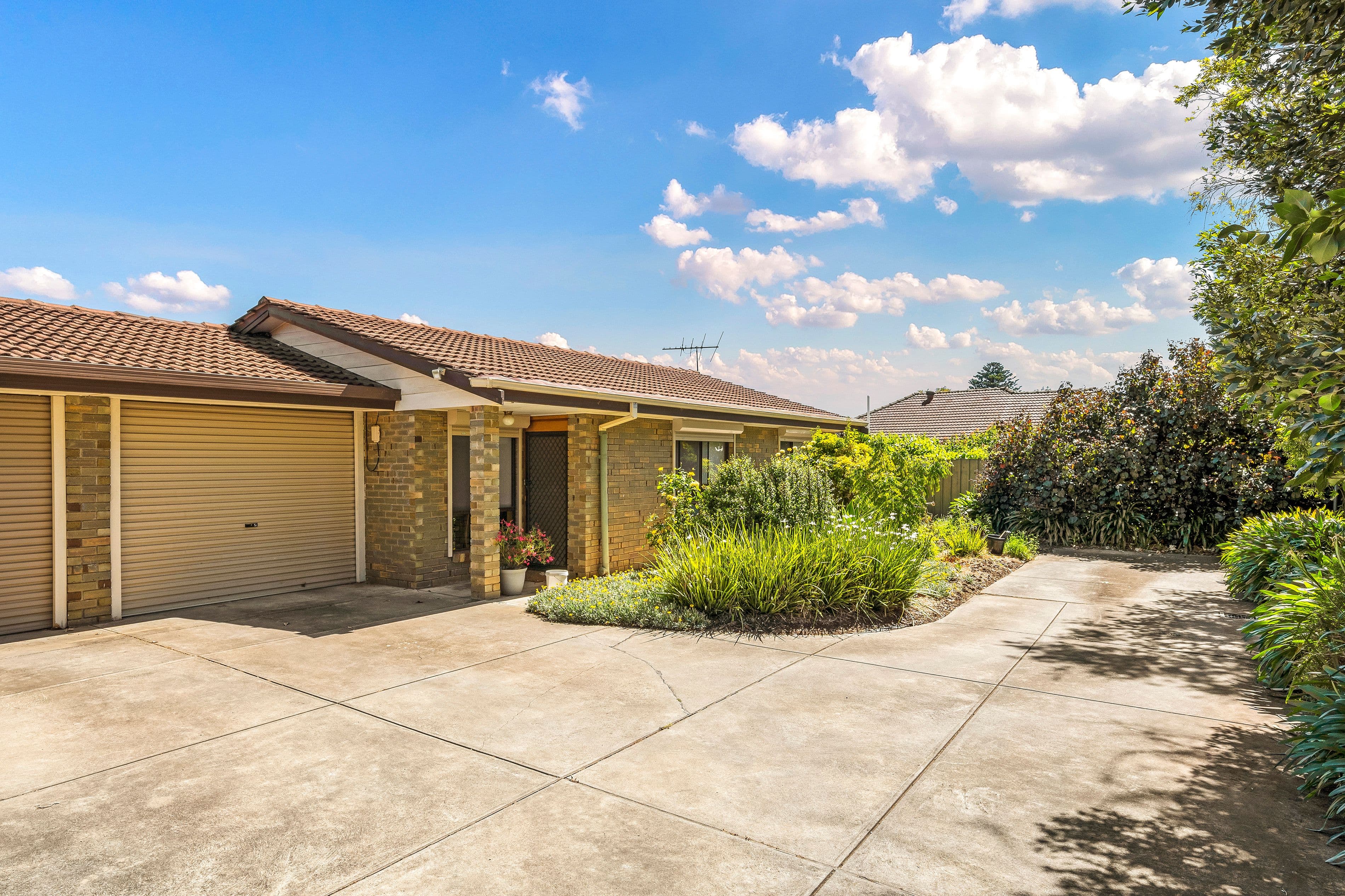 78 Arthur Street, Payneham South SA 5070, Payneham South - Thumbnail 2