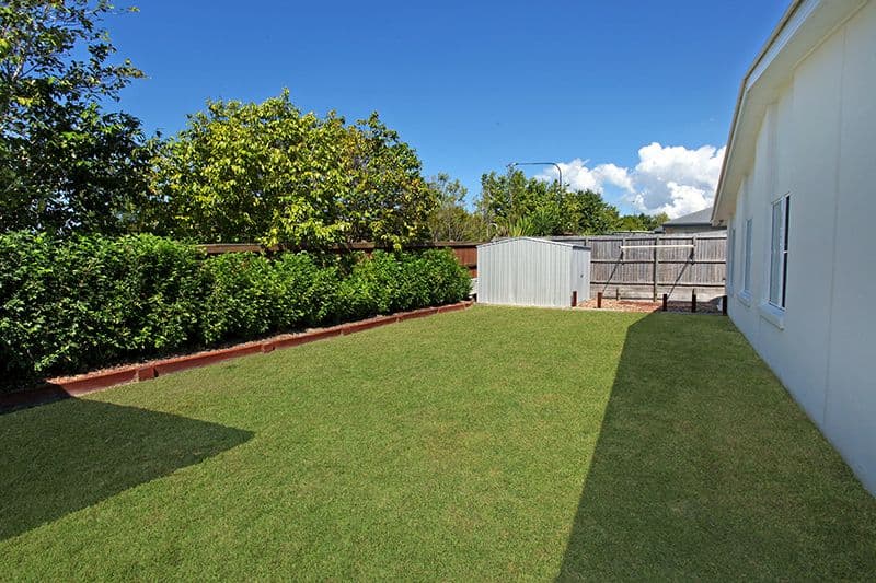 20 Flindersia Place, MOUNTAIN CREEK QLD 4557, Mountain Creek - Thumbnail 3