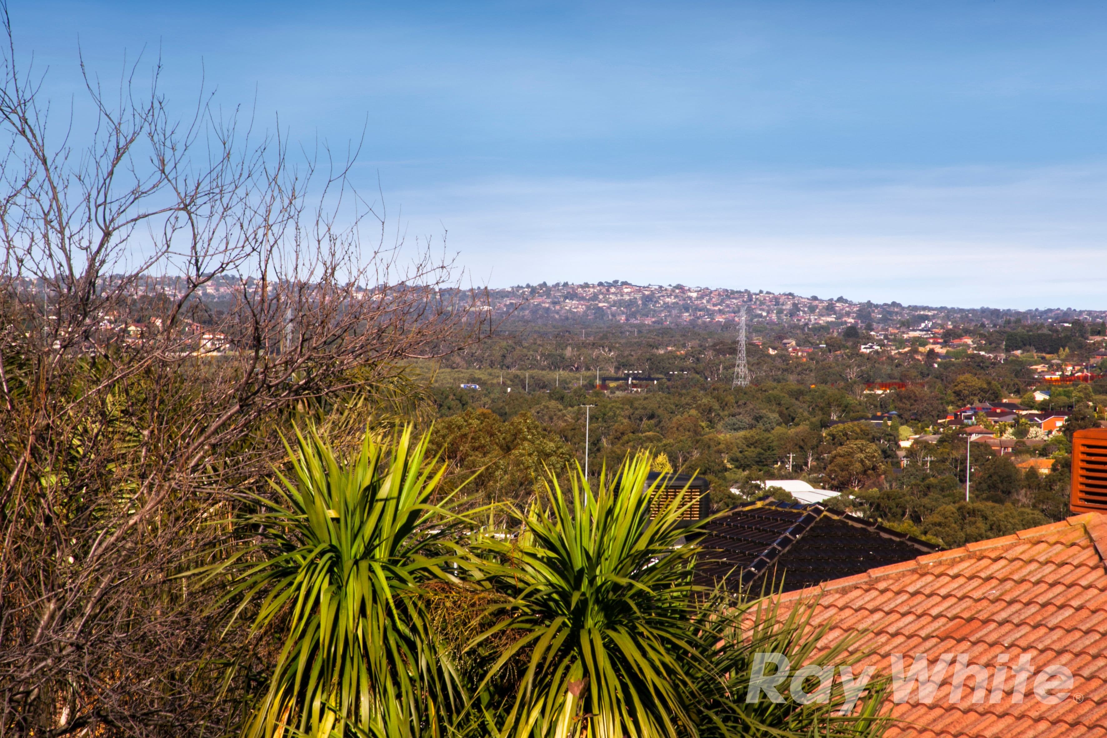 99 Grandview Road, Wheelers Hill VIC 3150, Wheelers Hill - Thumbnail 2