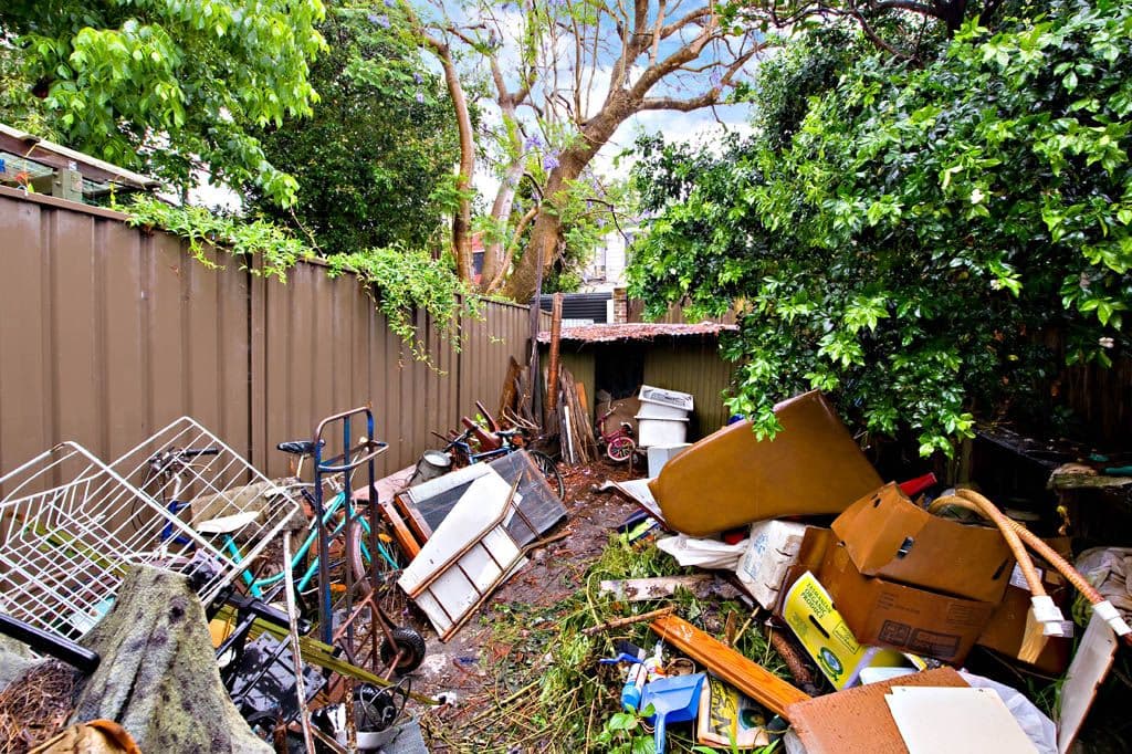 24 Gibbes Street, NEWTOWN NSW 2042, Newtown - Thumbnail 2
