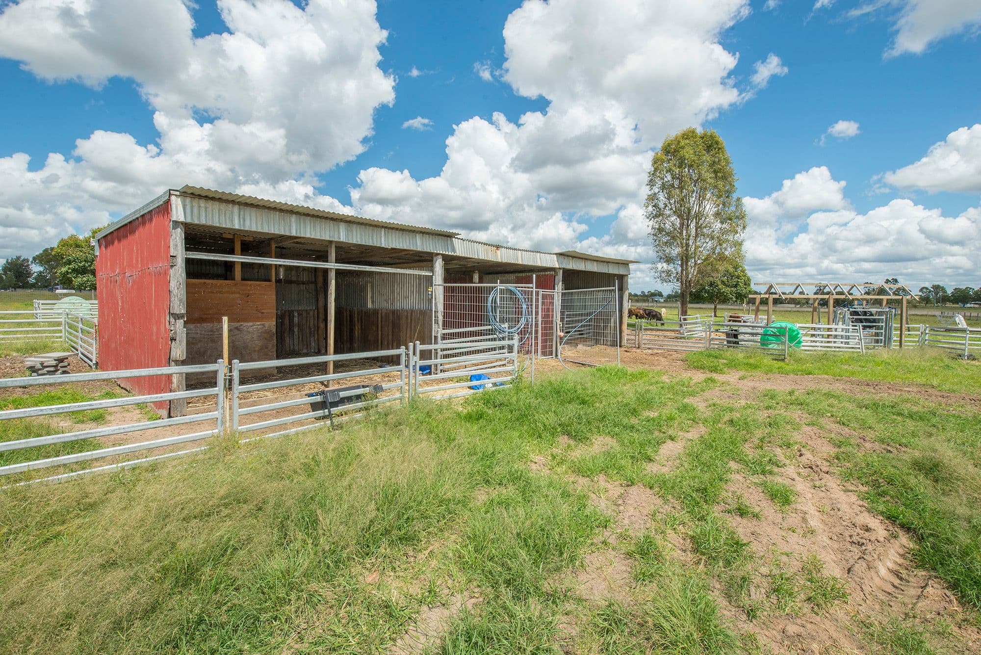 81 Mccarthy Road, Mount Tarampa QLD 4311, Mount Tarampa - Thumbnail 7
