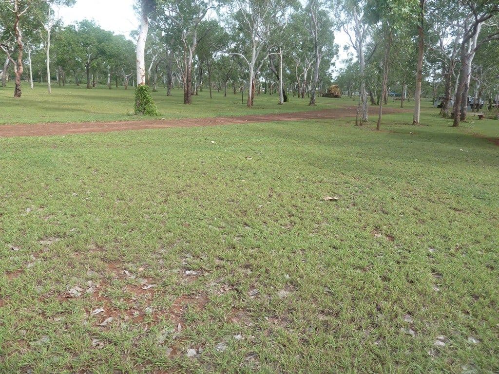 28 Usher Road, STUART Estate, KATHERINE NT 0850, Katherine - Thumbnail 3