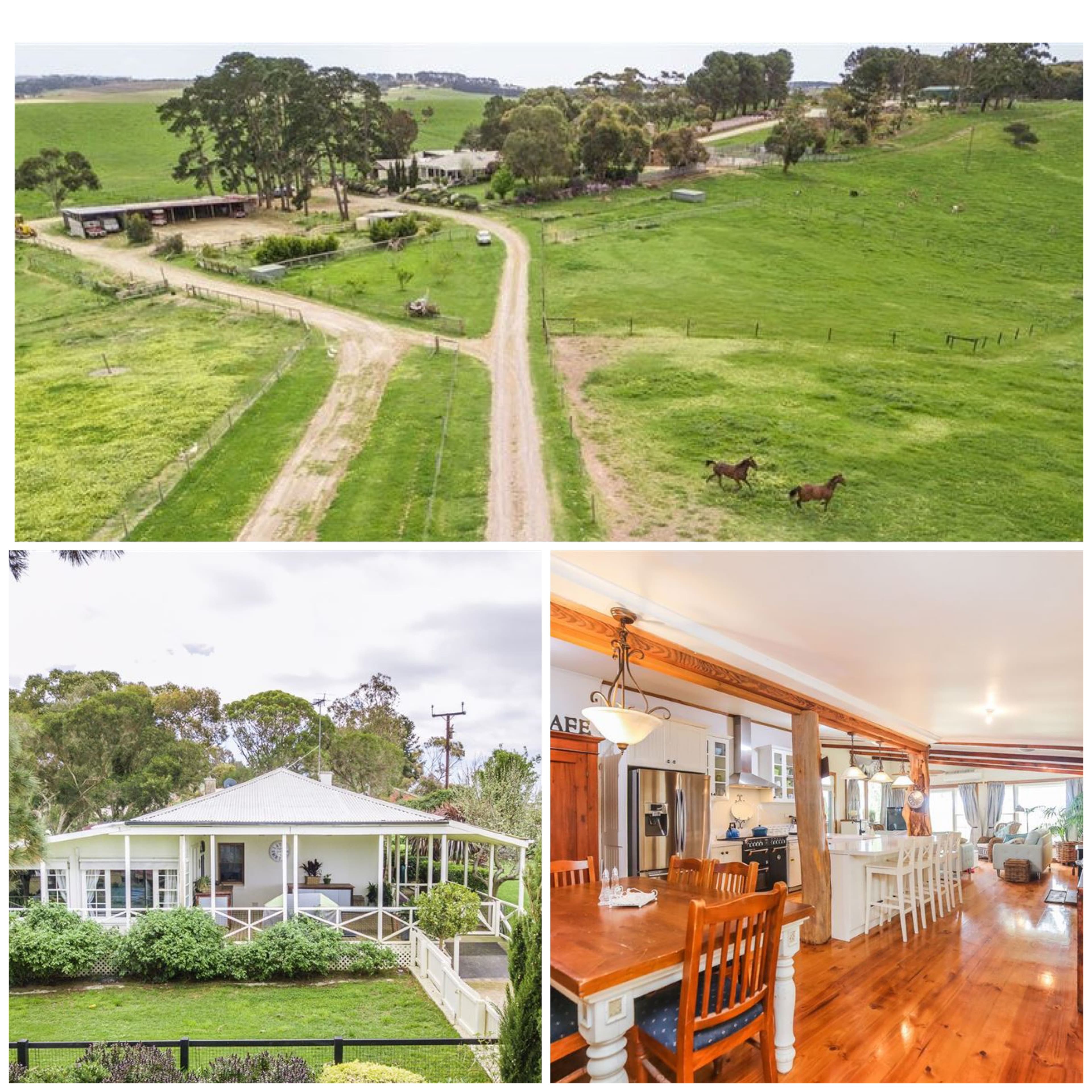 97 Trig Point Road, Mosquito Hill SA 5214, Mosquito Hill - Thumbnail 2