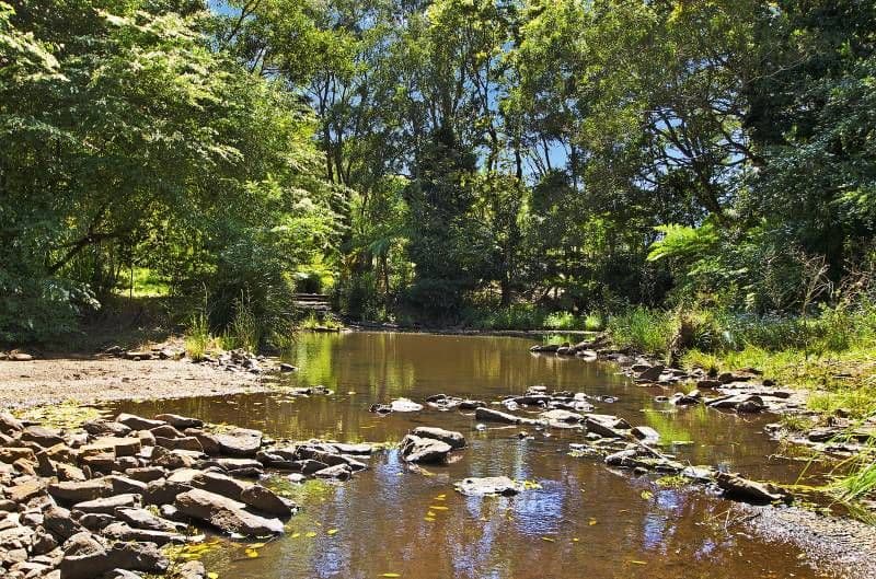 61 Burgess Avenue, MALENY QLD 4552, Maleny - Thumbnail 3