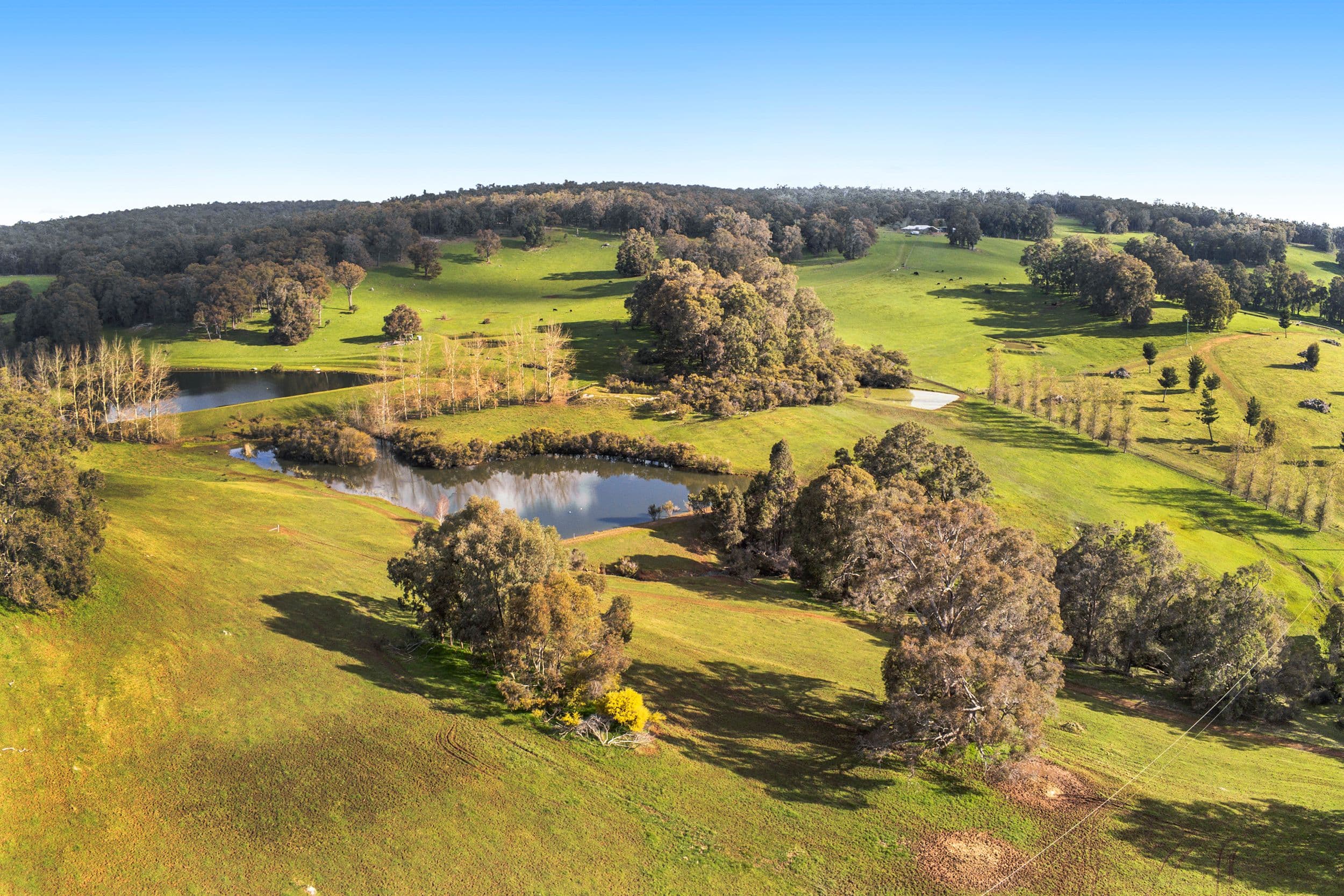 702 Tweed Road, Bridgetown WA 6255, Bridgetown - Thumbnail 2