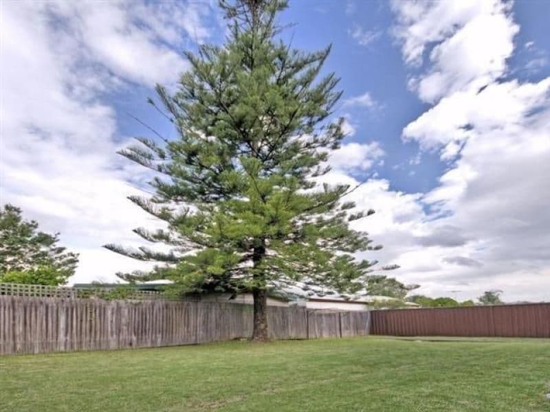 202 Victoria Road, PUNCHBOWL NSW 2196, Punchbowl - Thumbnail 2