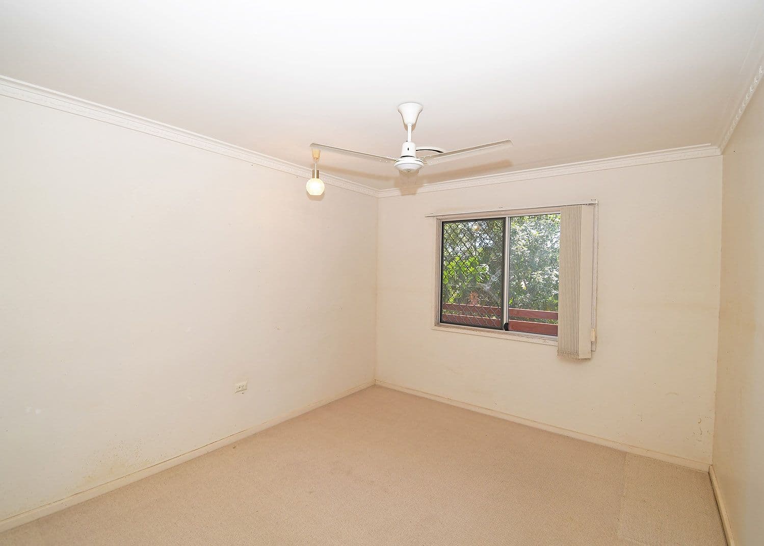 65 King Street, Urangan QLD 4655, Urangan - Thumbnail 8