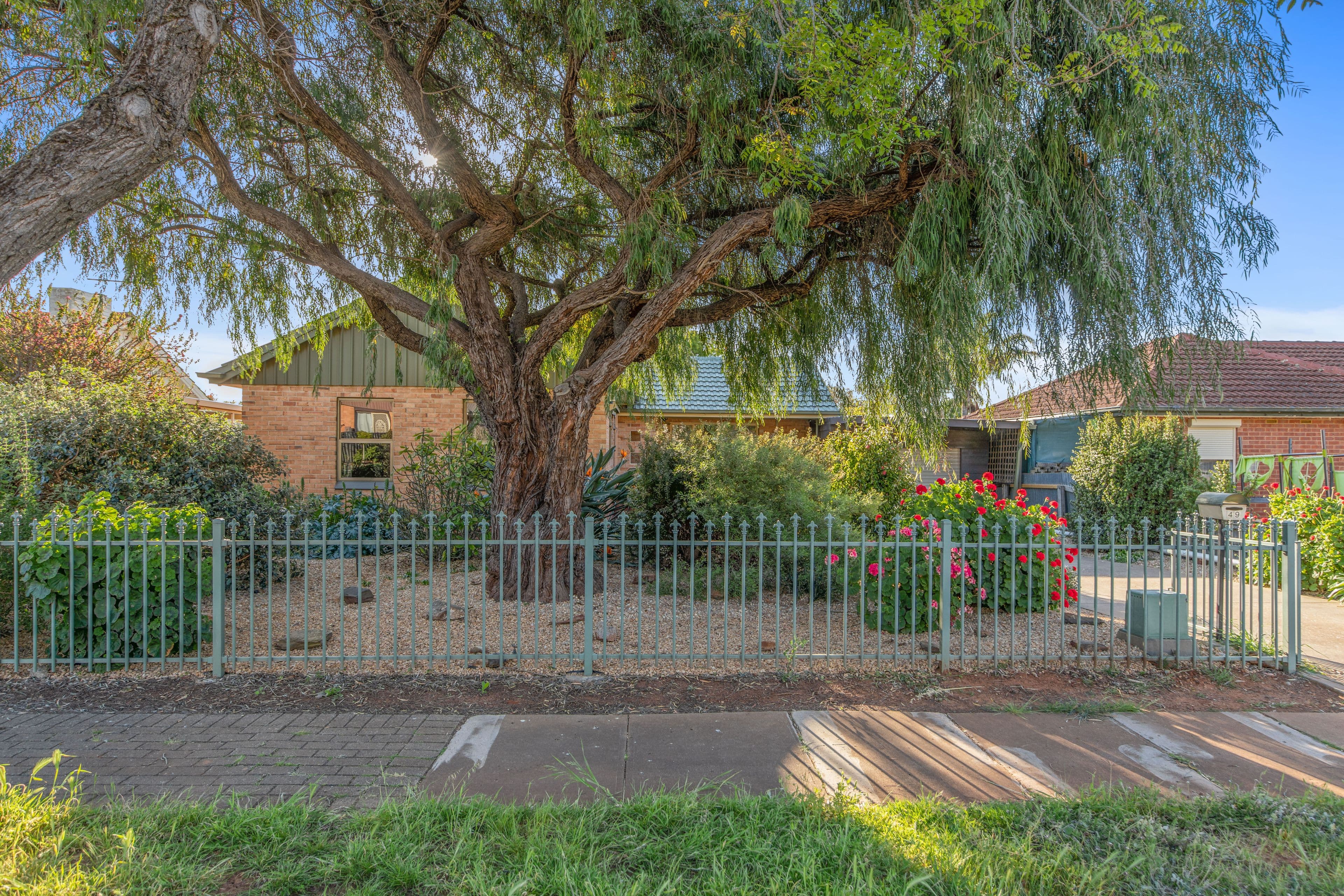 49 Forrestall Road, Elizabeth Downs SA 5113, Elizabeth Downs - Thumbnail 2