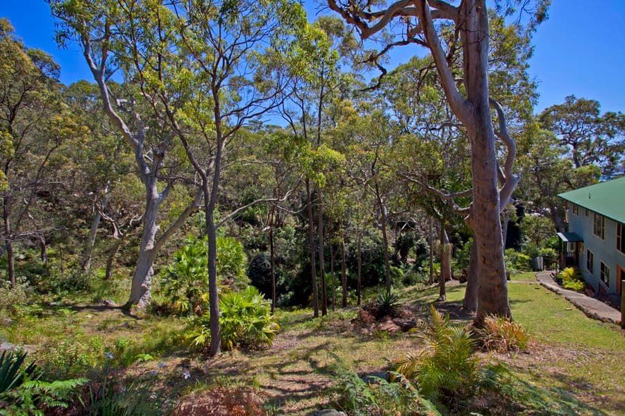 29 Newcombe Street, MAIANBAR NSW 2230, Maianbar - Thumbnail 8