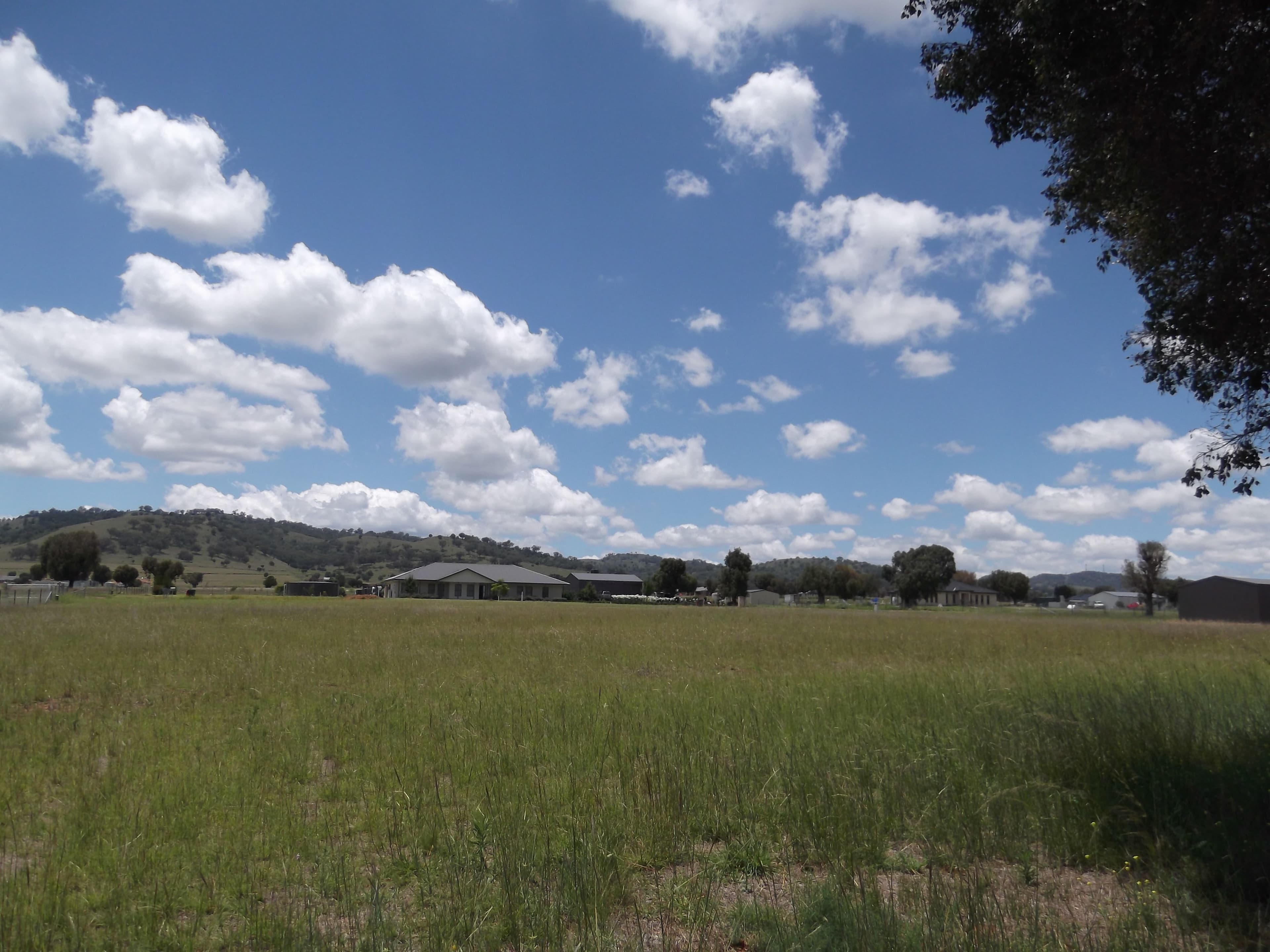 5 Songlark Place, TAMWORTH NSW 2340, Tamworth - Image 1