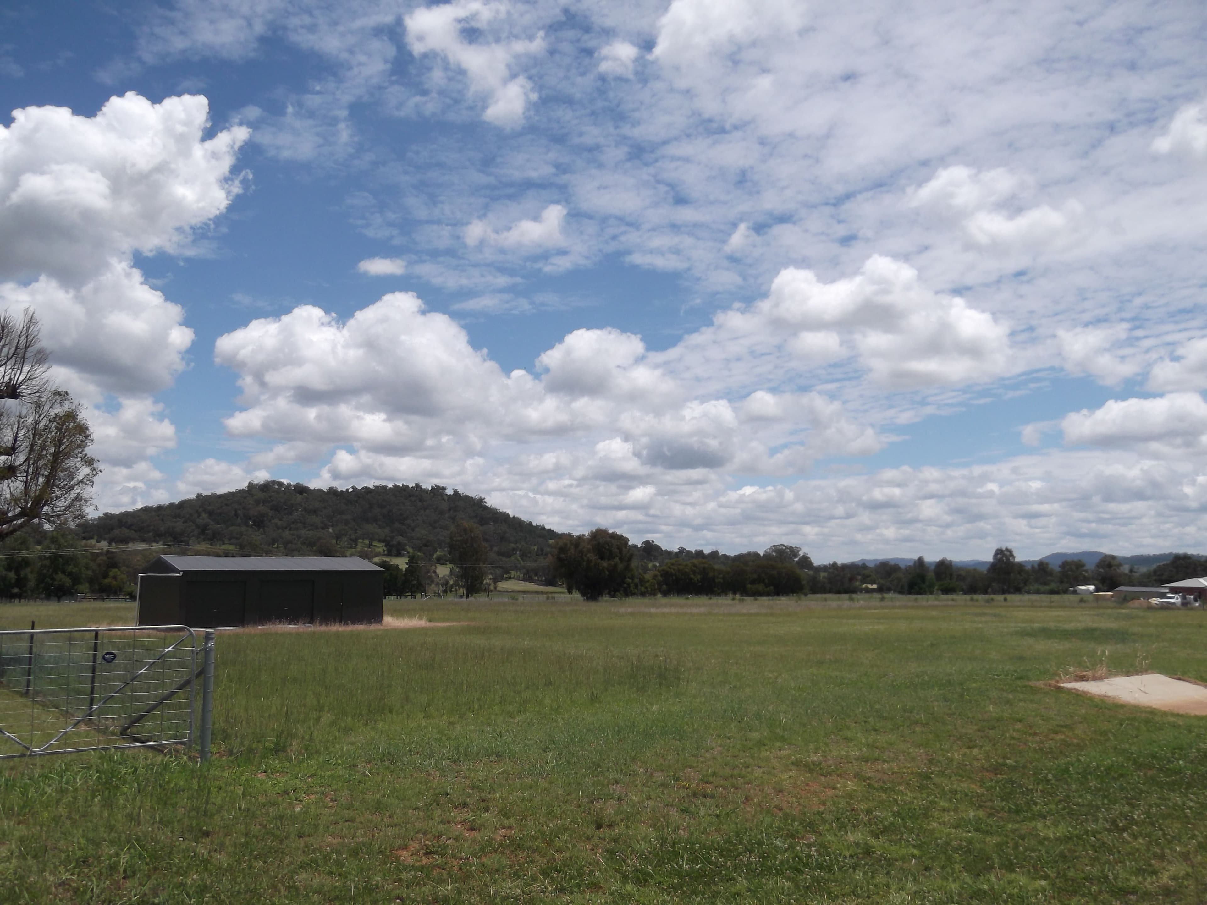 5 Songlark Place, TAMWORTH NSW 2340, Tamworth - Thumbnail 2