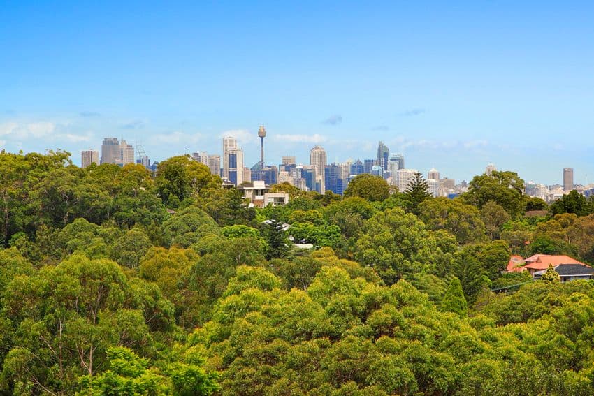 288 Pacific Highway, ARTARMON NSW 2064, Artarmon - Thumbnail 2