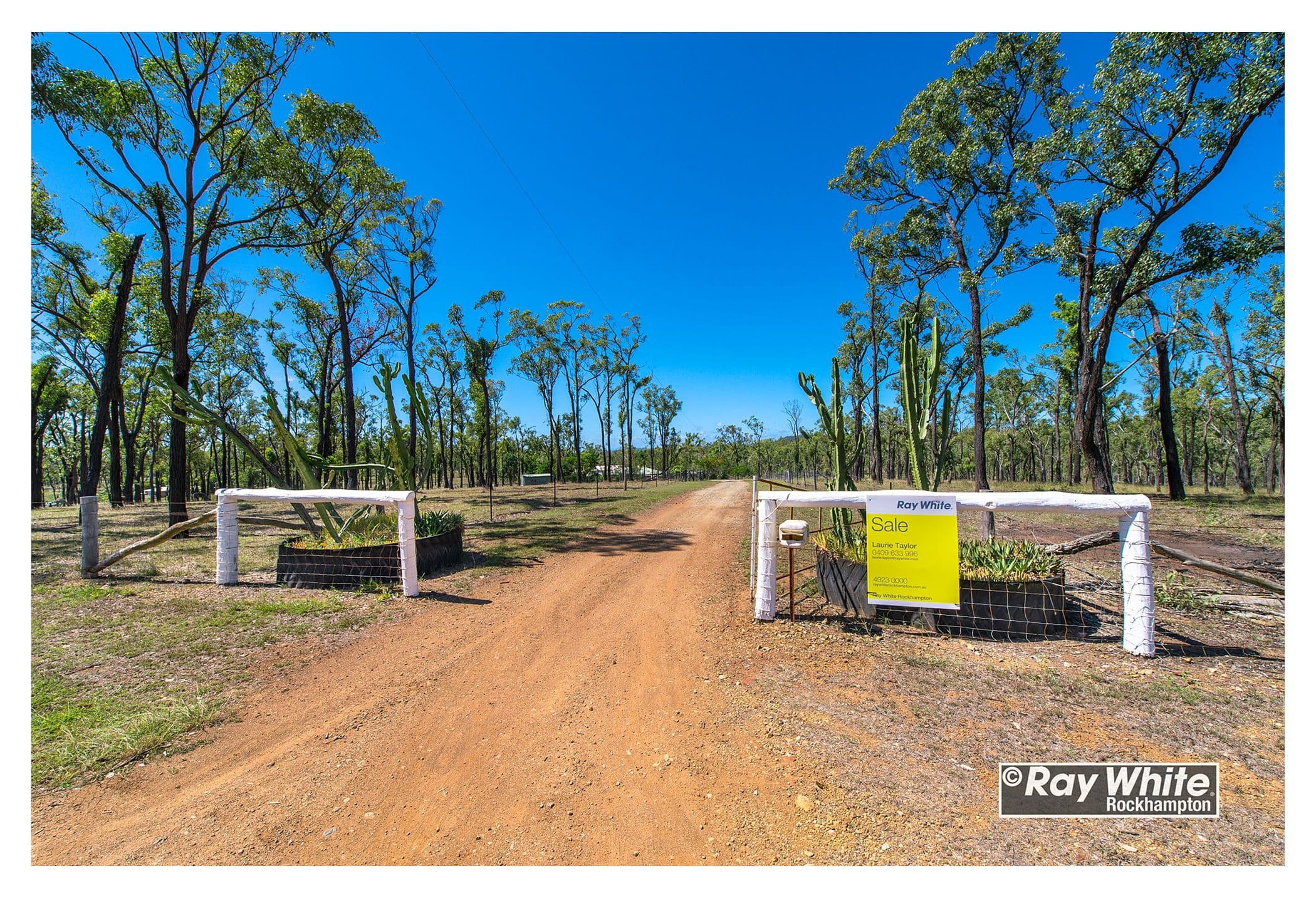 66 Dodson Lane, Cawarral QLD 4702, Cawarral - Thumbnail 6