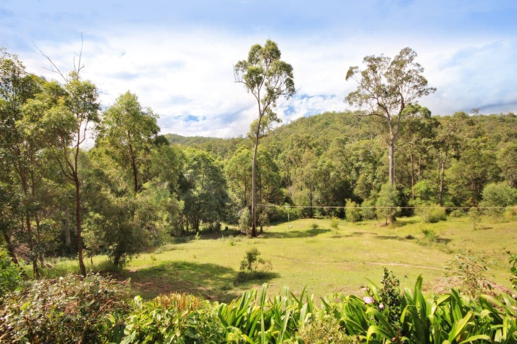 63 Tallowwood Road, AUSTINVILLE QLD 4213, Austinville - Thumbnail 2