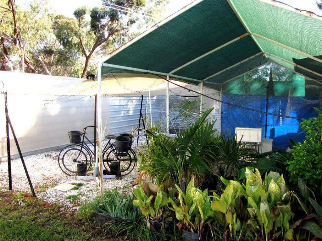 14 Cockin Road, Barmera SA 5345, Barmera - Thumbnail 7