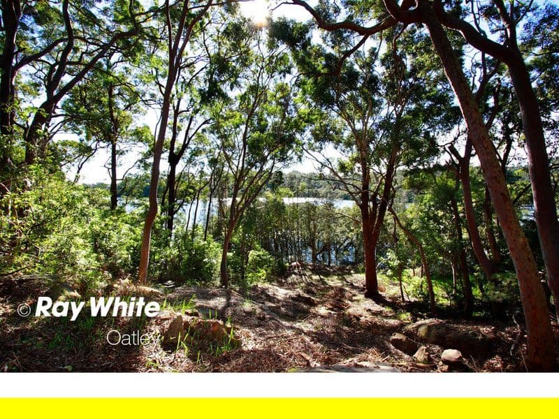 3 Raftree Street, PADSTOW HEIGHTS NSW 2211, Padstow Heights - Thumbnail 2