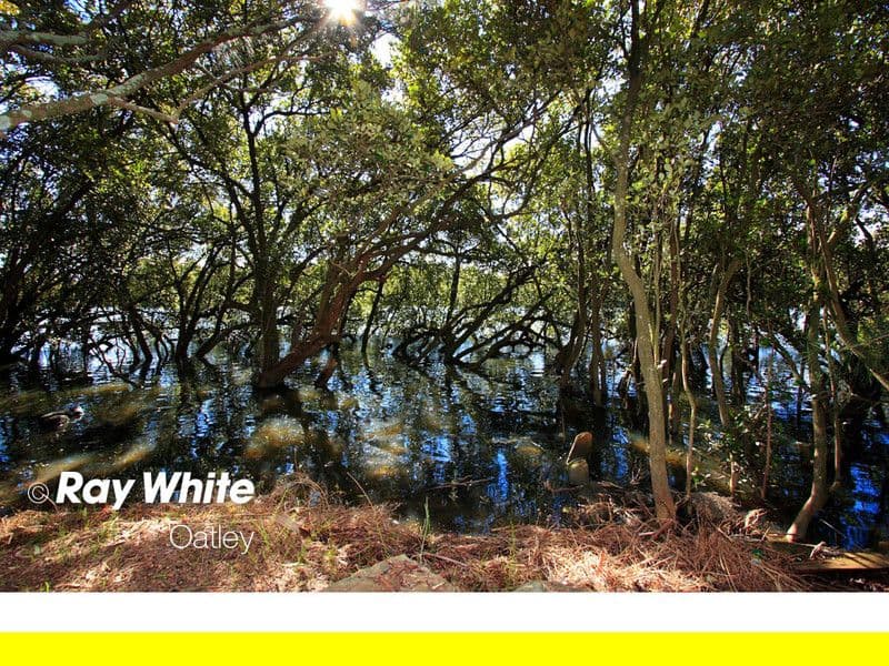 3 Raftree Street, PADSTOW HEIGHTS NSW 2211, Padstow Heights - Thumbnail 4