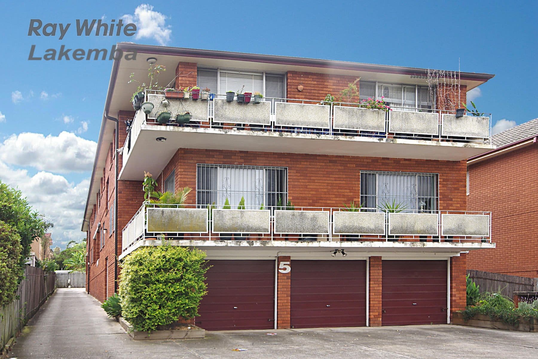 5 Cornelia Street, Wiley Park NSW 2195, Wiley Park - Thumbnail 4