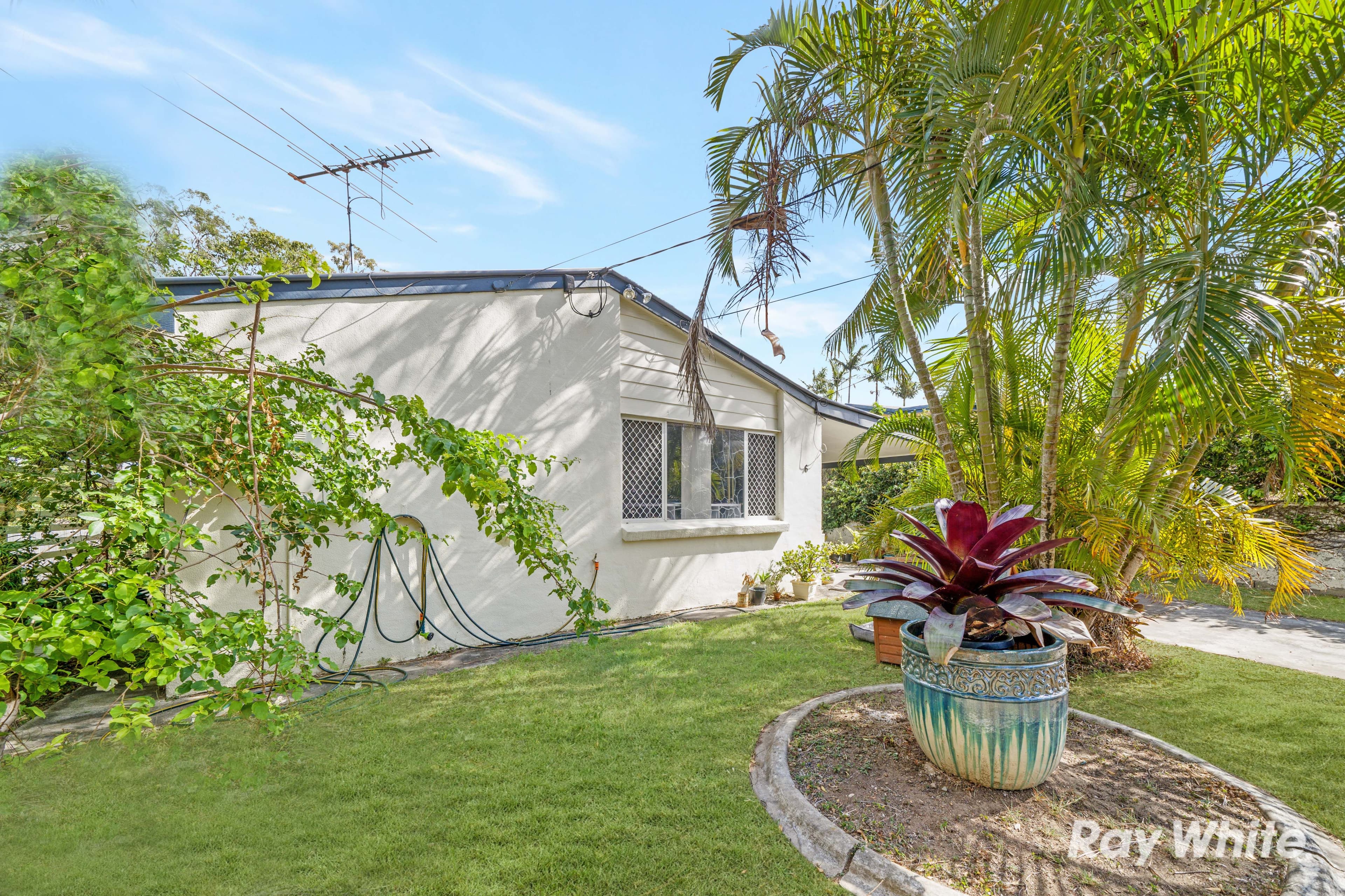 6 Gazania Street, Kingston QLD 4114, Kingston - Thumbnail 4
