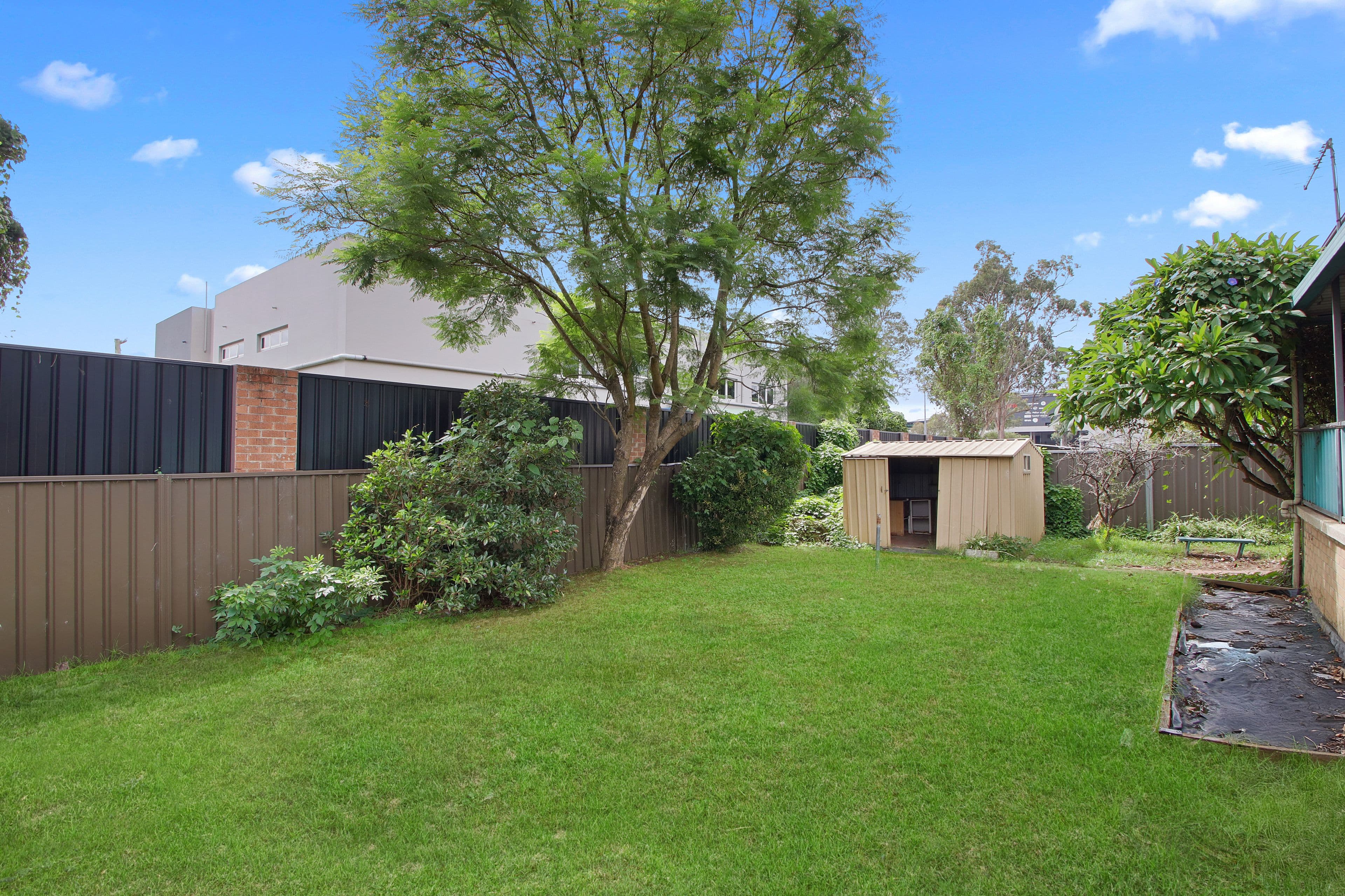 3 Varian Street, Mount Druitt NSW 2770, Mount Druitt - Thumbnail 5