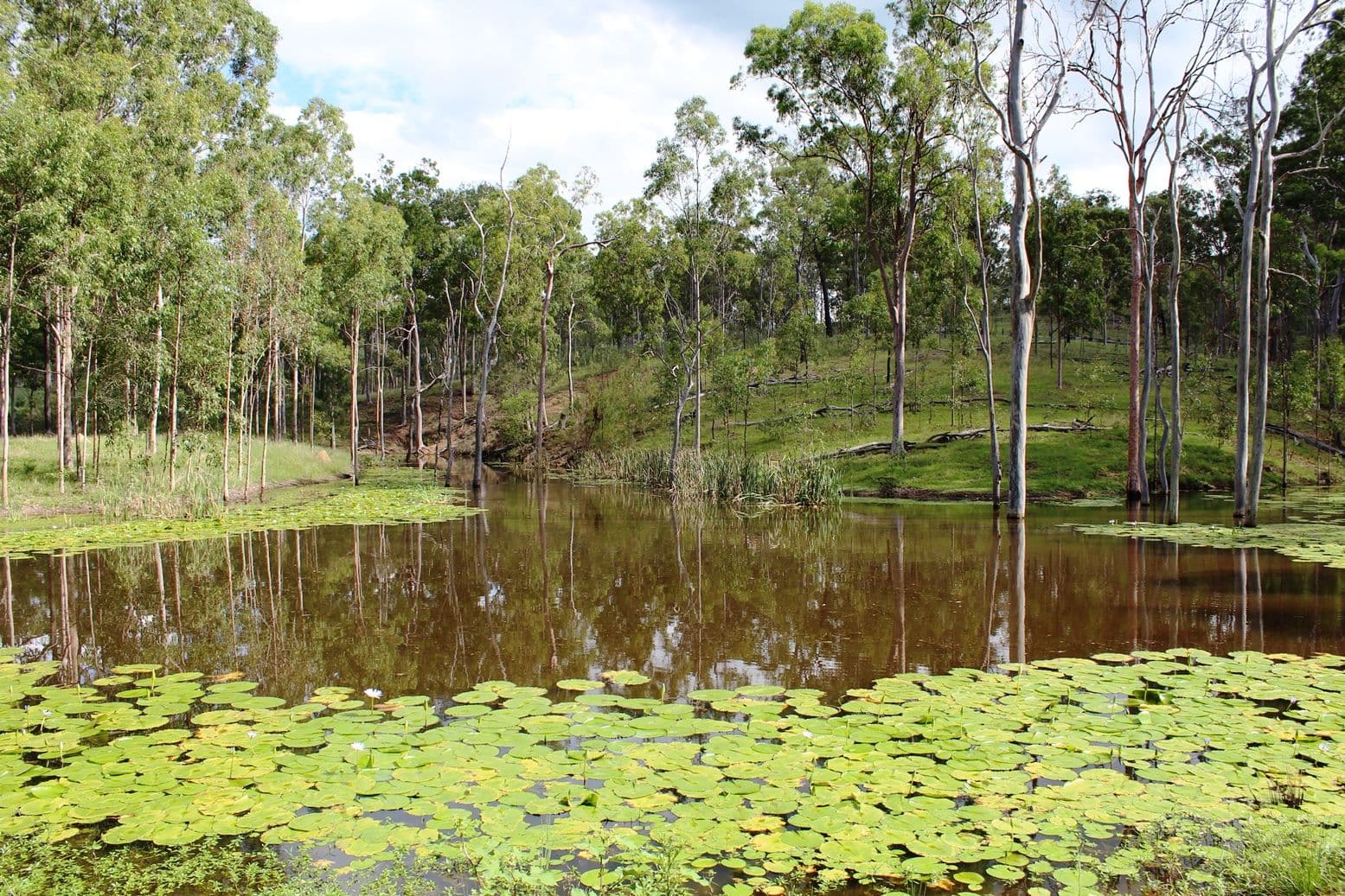 Lot 4 Tooloorum Road, Bryden QLD 4312, Bryden - Image 1
