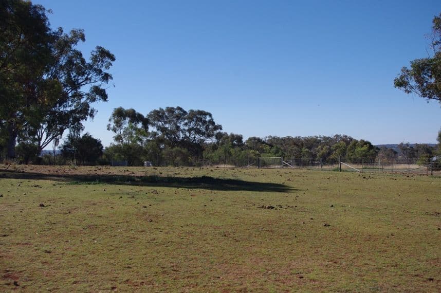 127 Orchard Place, INVERELL NSW 2360, Inverell - Thumbnail 2