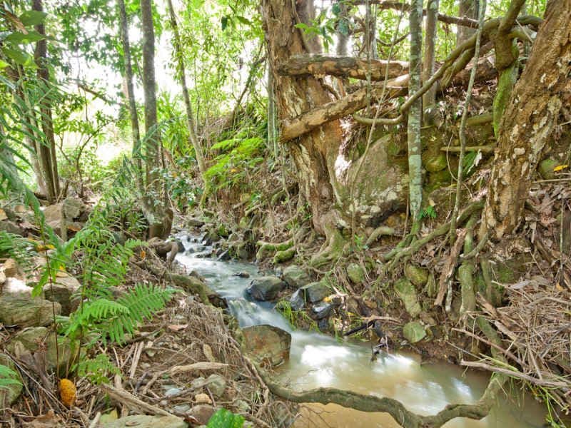 602 Cedar Creek Road, CEDAR CREEK QLD 4520, Cedar Creek - Thumbnail 2