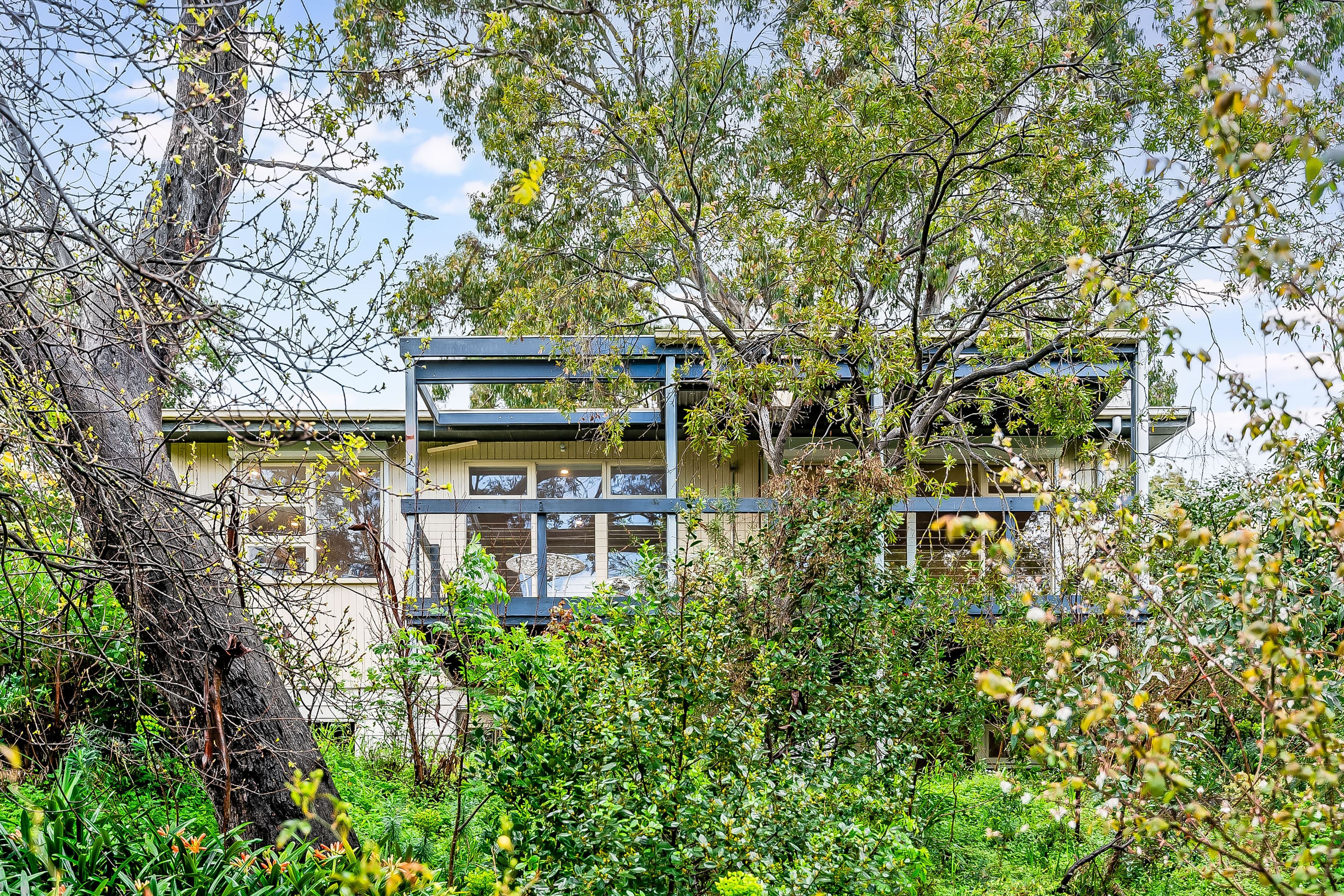 7 Christine Avenue, Belair SA 5052, Belair - Thumbnail 2