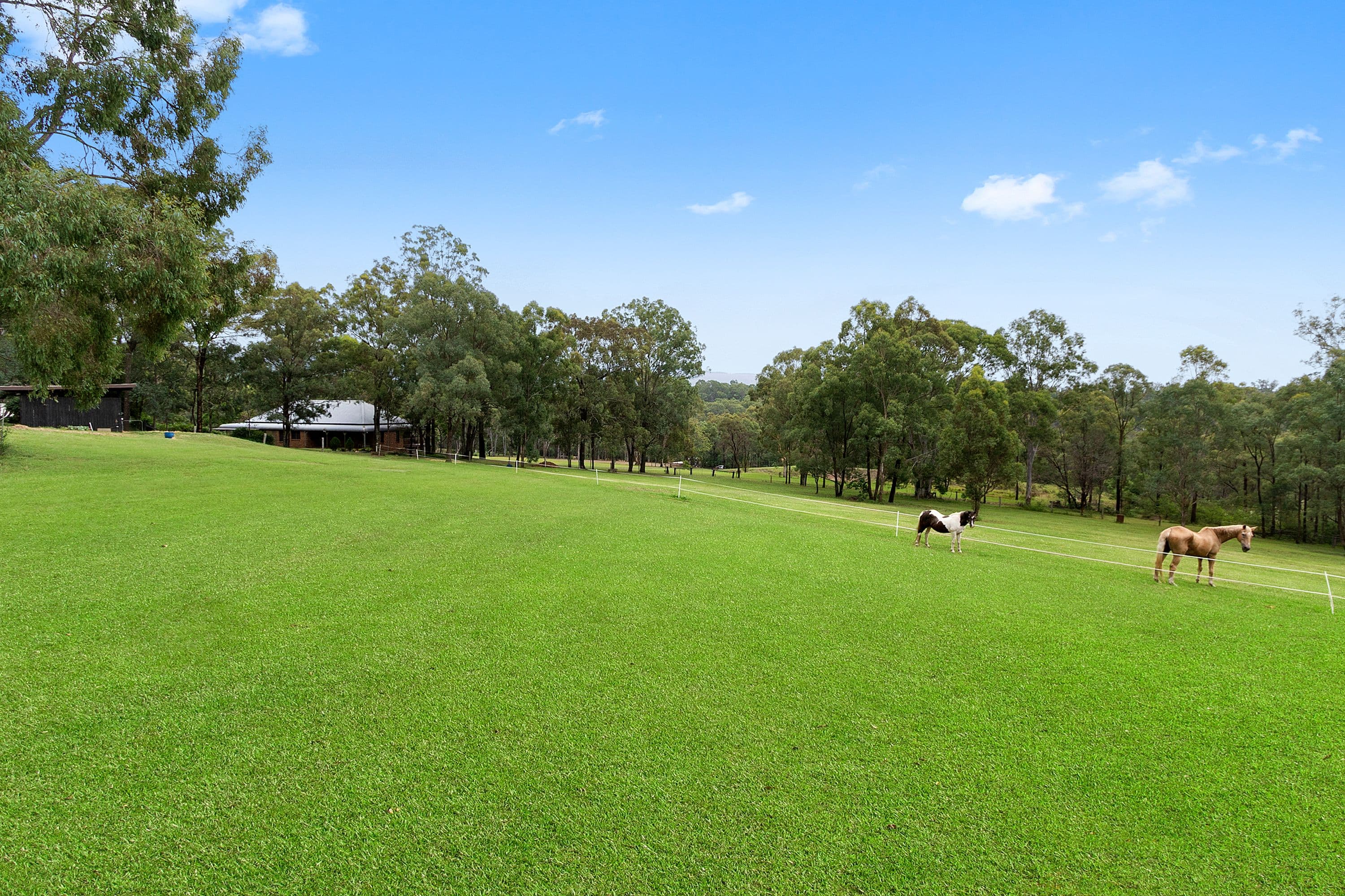 282 Bells Road, Grose Vale - Thumbnail 2
