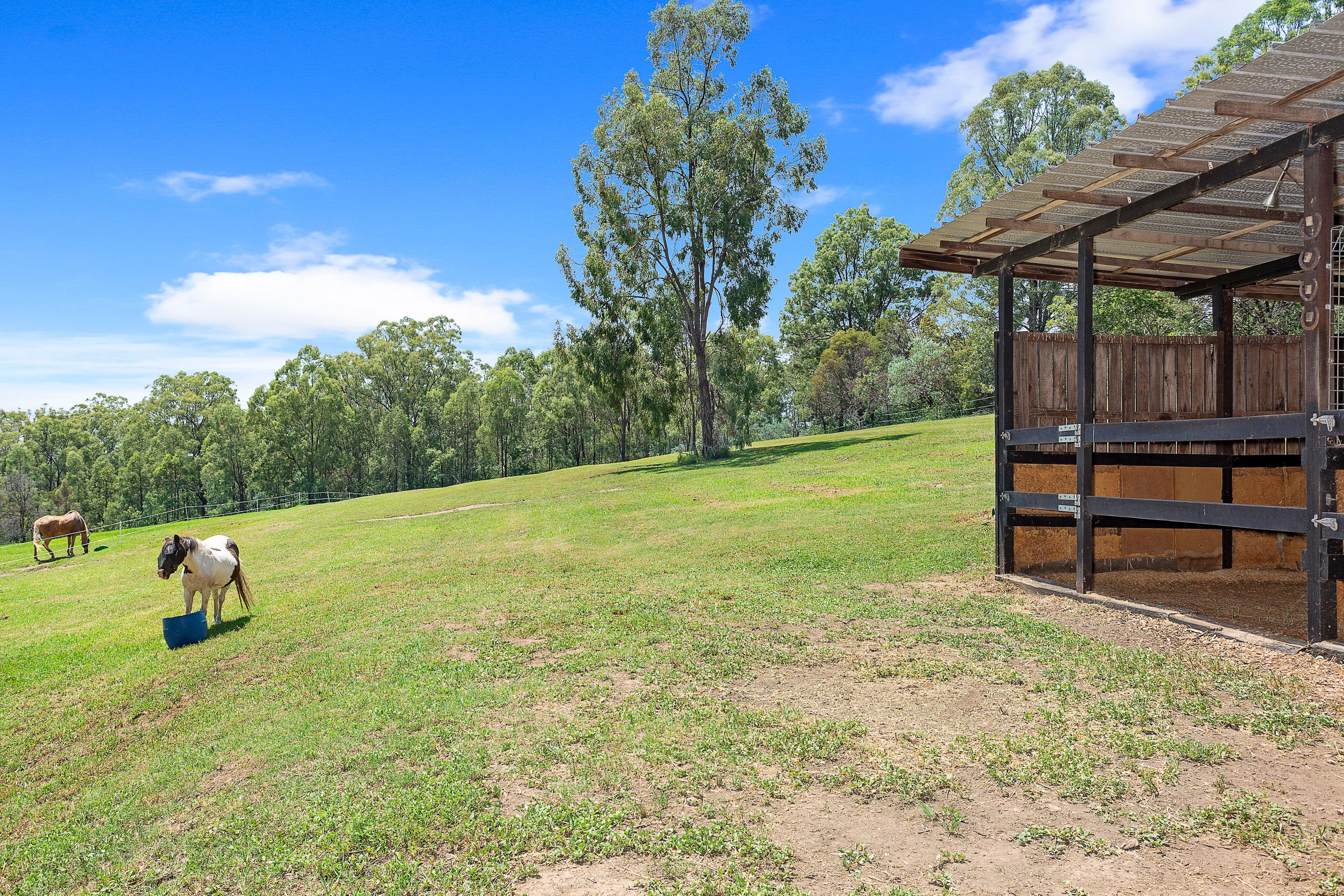 282 Bells Road, Grose Vale - Thumbnail 3