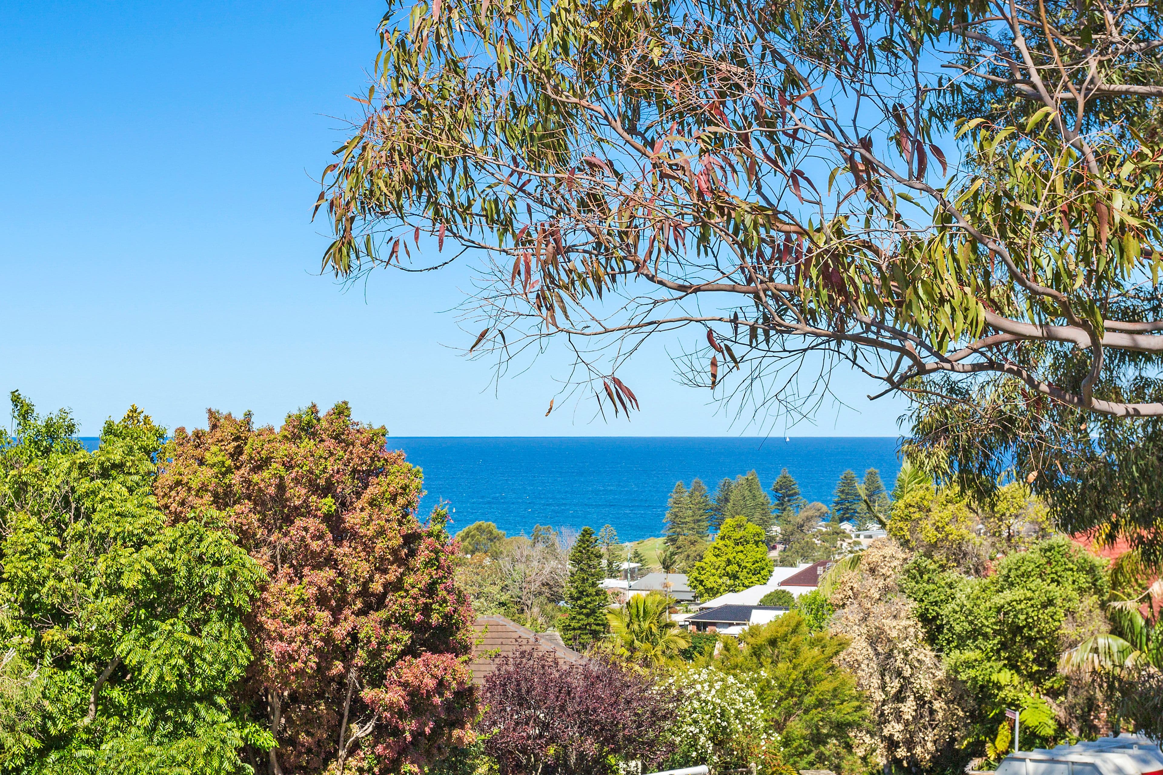 12 Isabella Place, Kiama - Thumbnail 6