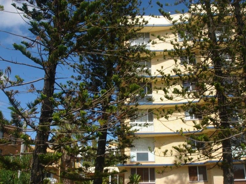 280 Hedges Avenue, MERMAID BEACH QLD 4218, Mermaid Beach - Thumbnail 6
