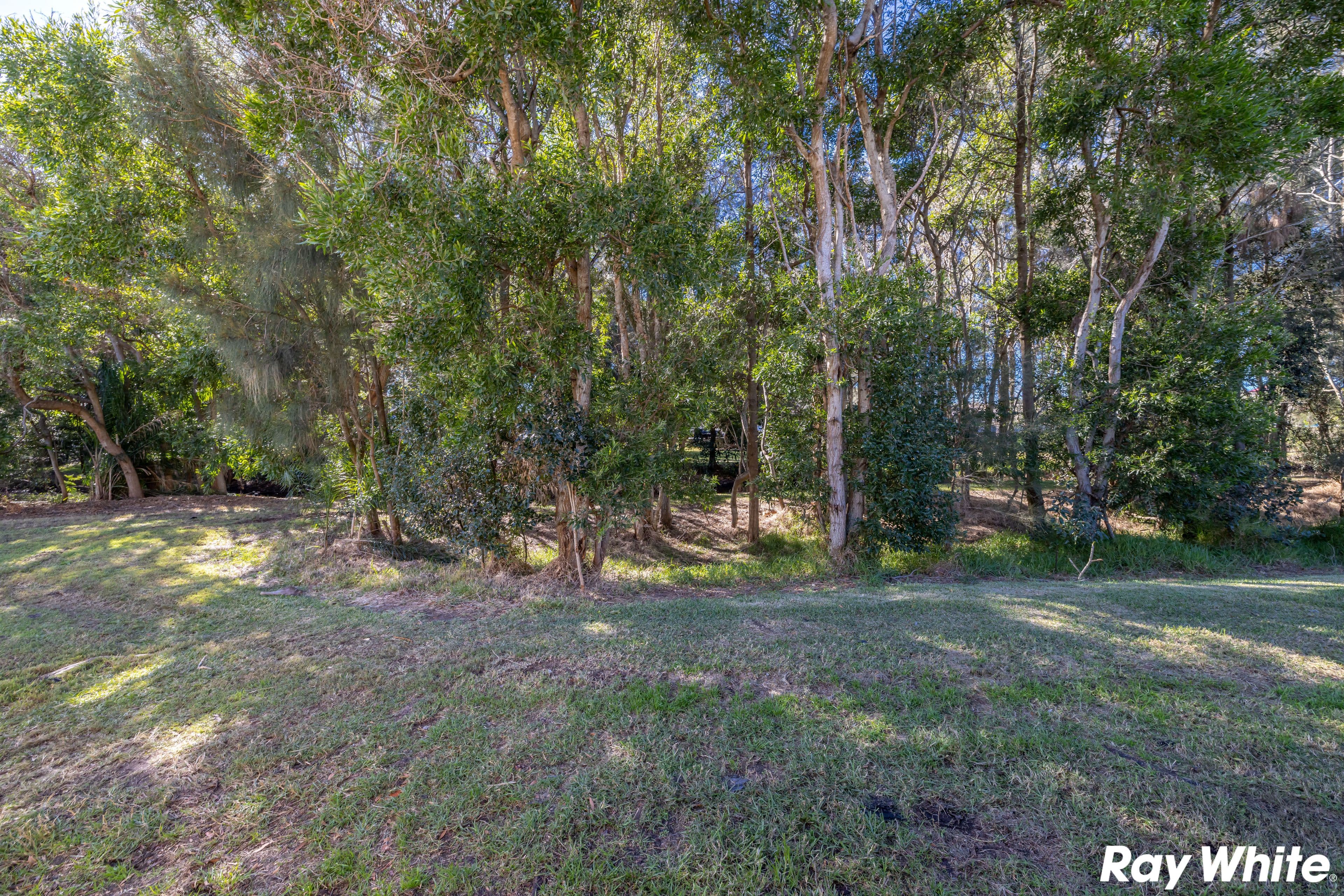 17 Helen Street, Forster NSW 2428, Forster - Thumbnail 6