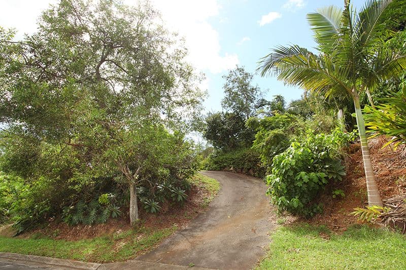 19 Dinmore Street, Woombye QLD 4559, Woombye - Thumbnail 7