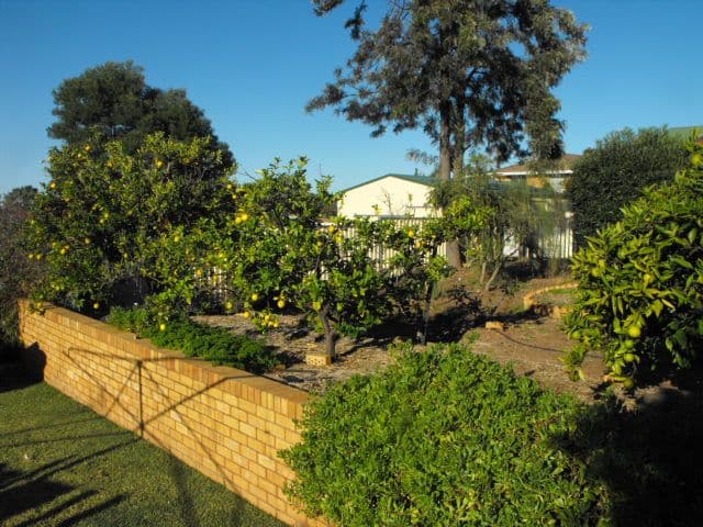4 Albert Street, PARKES NSW 2870, Parkes - Thumbnail 8