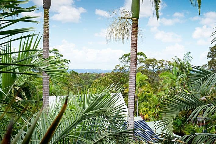 15 Mons Road, BUDERIM QLD 4556, Buderim - Thumbnail 2