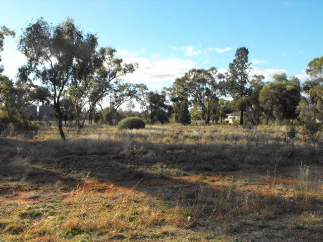 Lots 8 and A Illewong Street, EUABALONG WEST NSW 2877, Euabalong West - Image 1