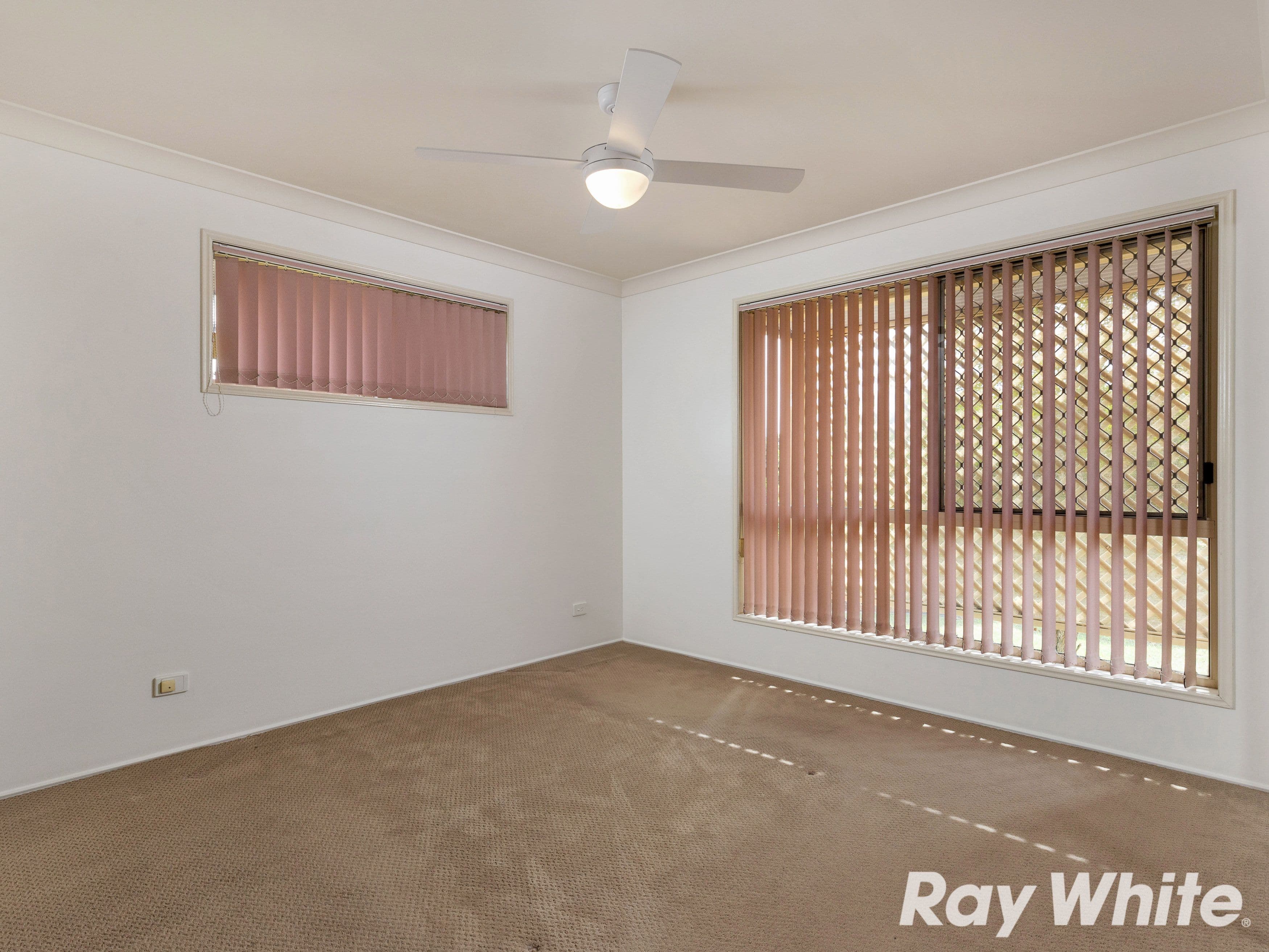 5 Bowden Court, Calamvale QLD 4116, Calamvale - Thumbnail 6