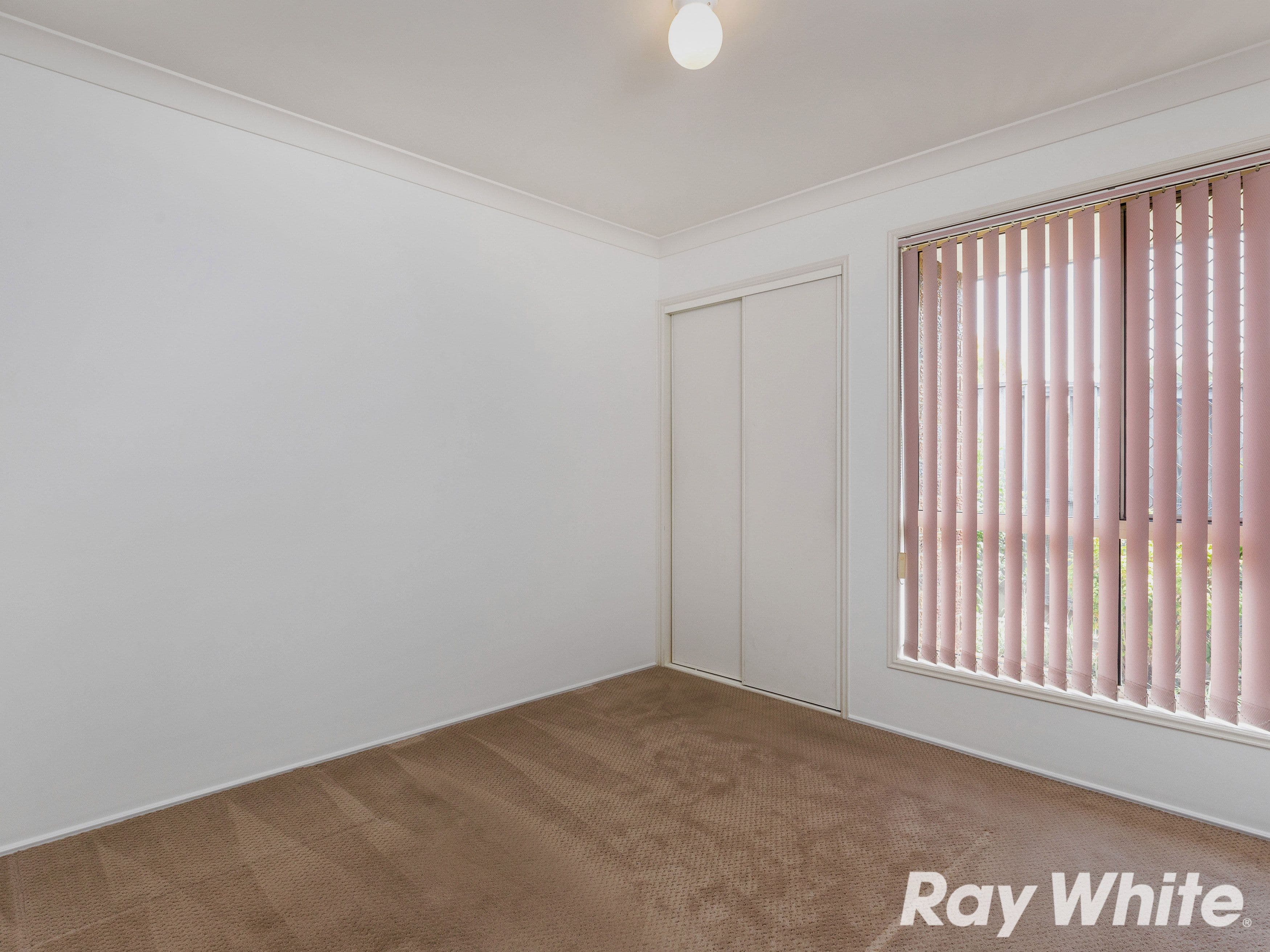 5 Bowden Court, Calamvale QLD 4116, Calamvale - Thumbnail 7